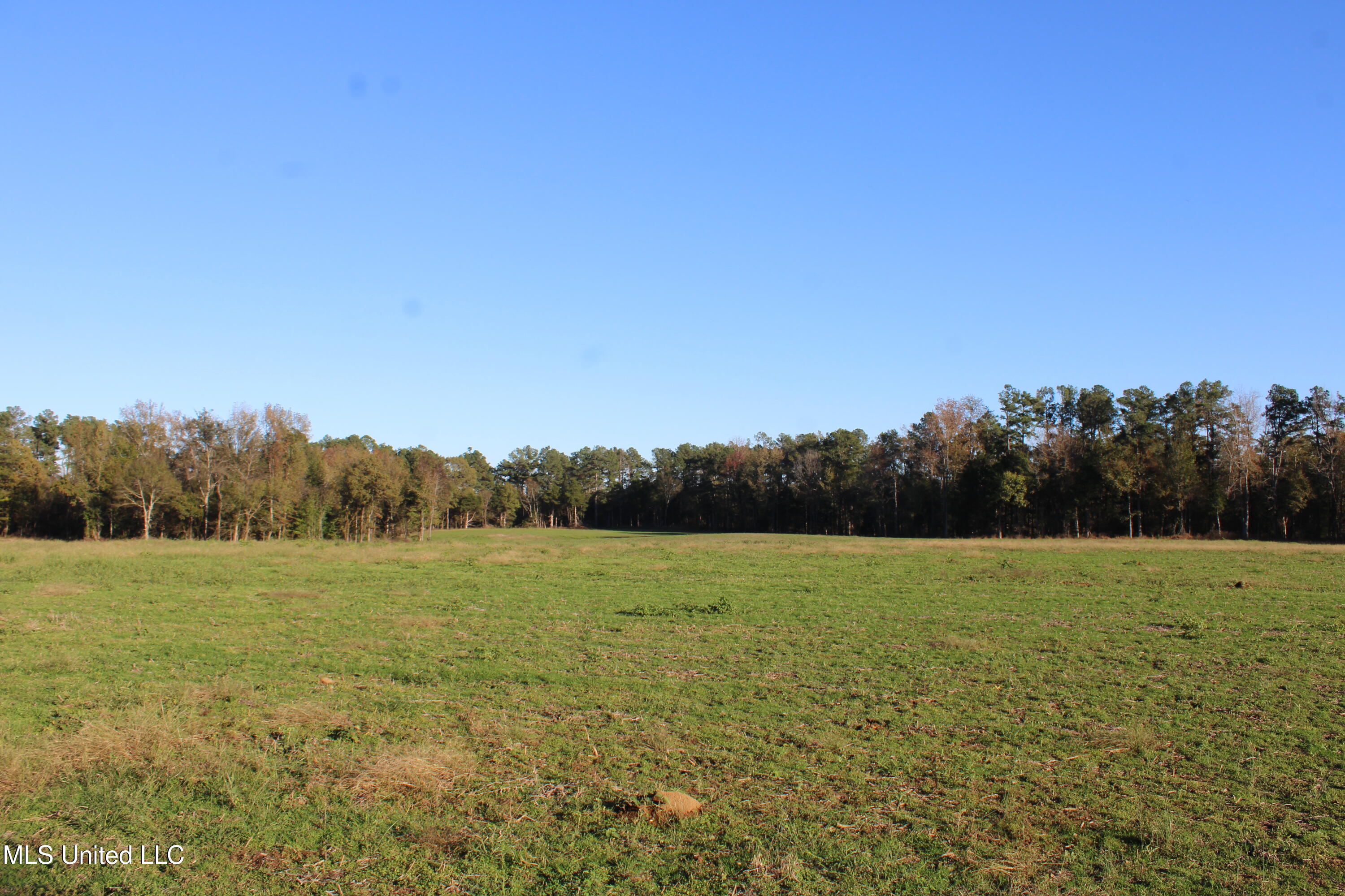 1600 Chulahoma Road, Holly Springs, Mississippi image 39