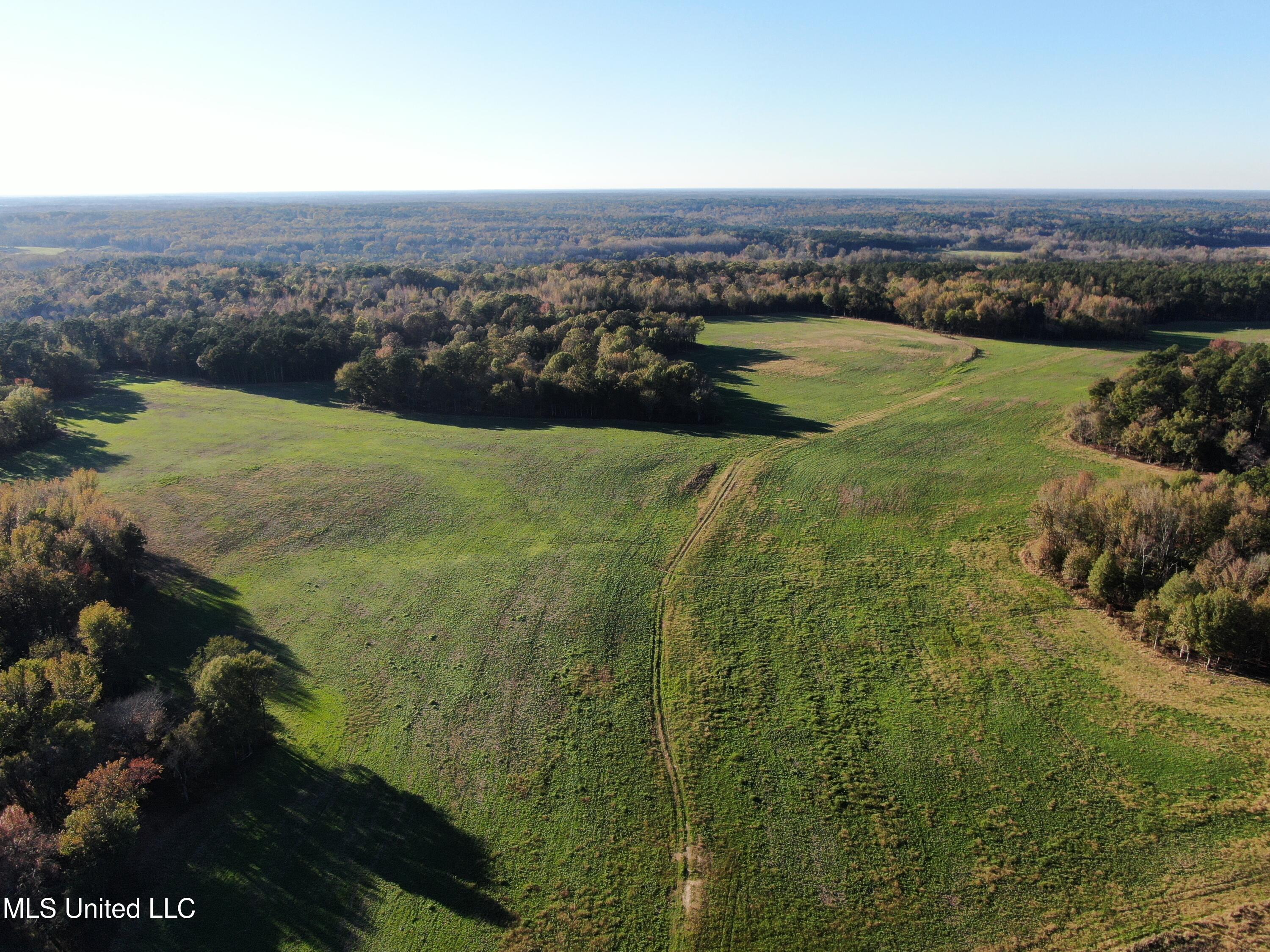 1600 Chulahoma Road, Holly Springs, Mississippi image 10