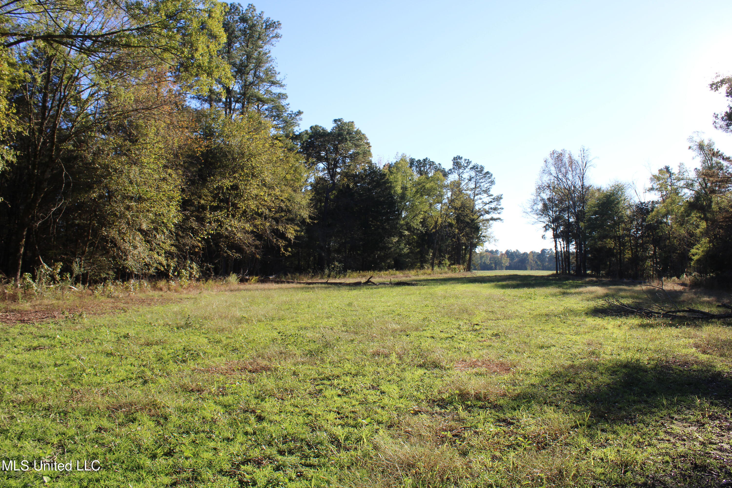 1600 Chulahoma Road, Holly Springs, Mississippi image 28