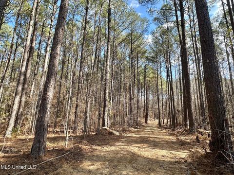 Vacant Land For Sale - 5 Scarborough Road<br/> Leake County, Carthage, MS 39051