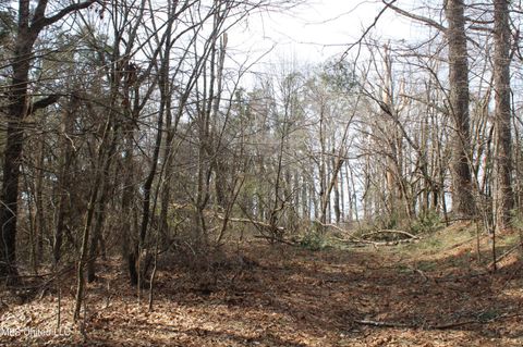 Vacant Land For Sale - Laws Hill Road<br/> Waterford, MS 38685