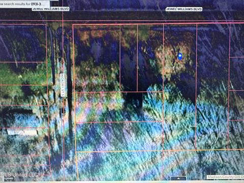 Vacant Land For Sale - Jewell Williams Boulevard<br/> Canton, MS 39046