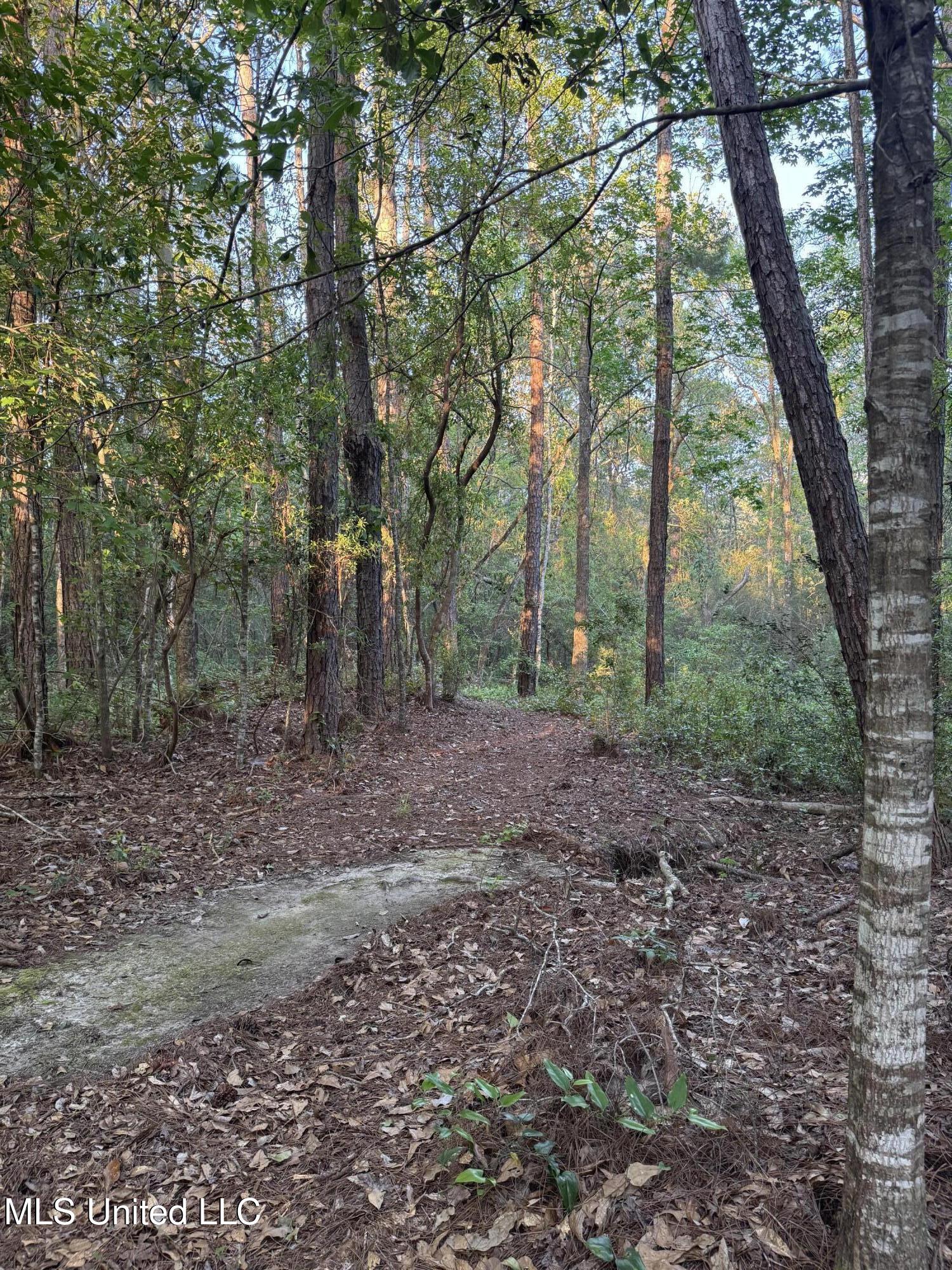 8900 Dana Road, Biloxi, Mississippi image 34