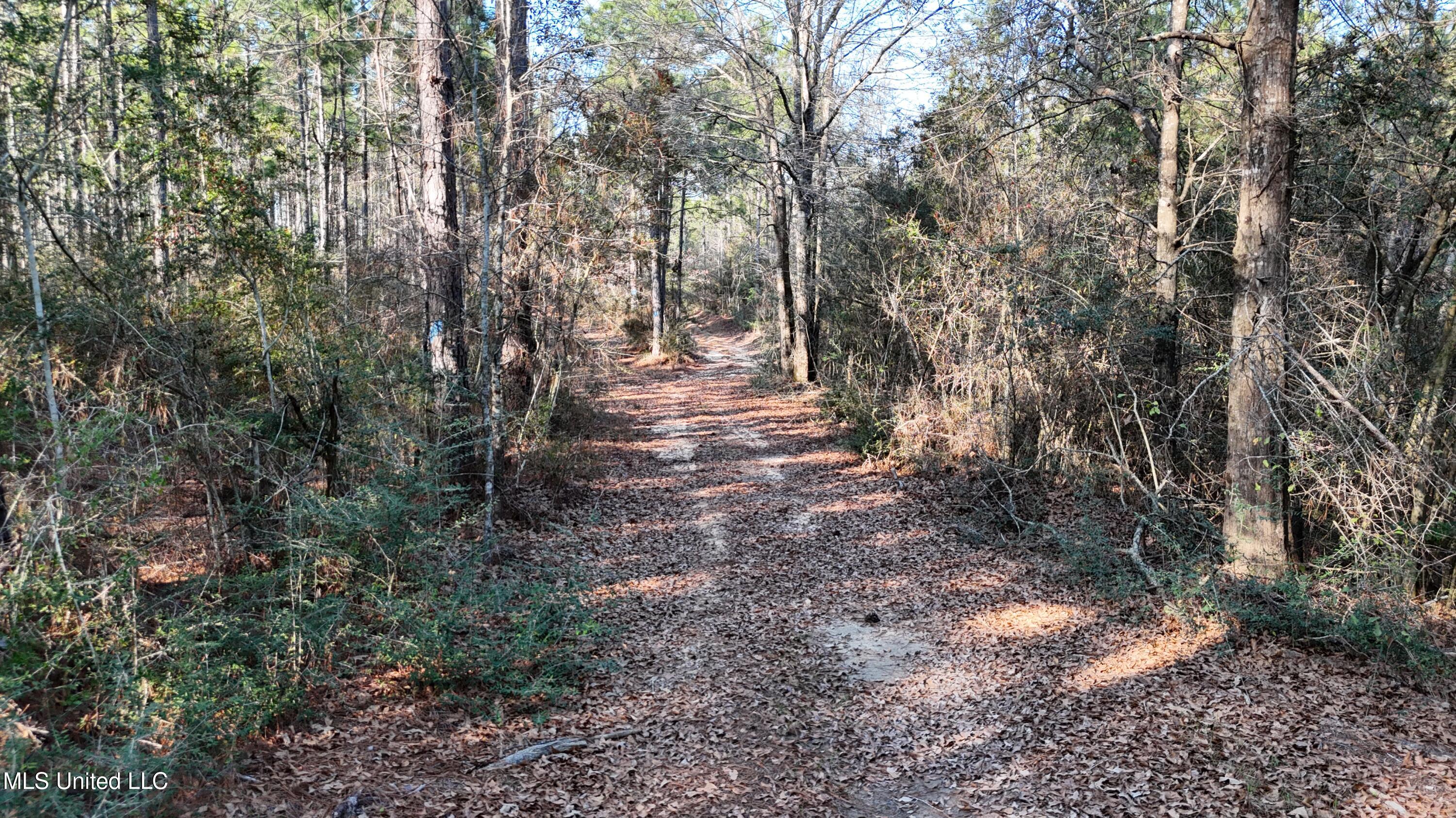588 Old Hwy 26, Perkinston, Mississippi image 16