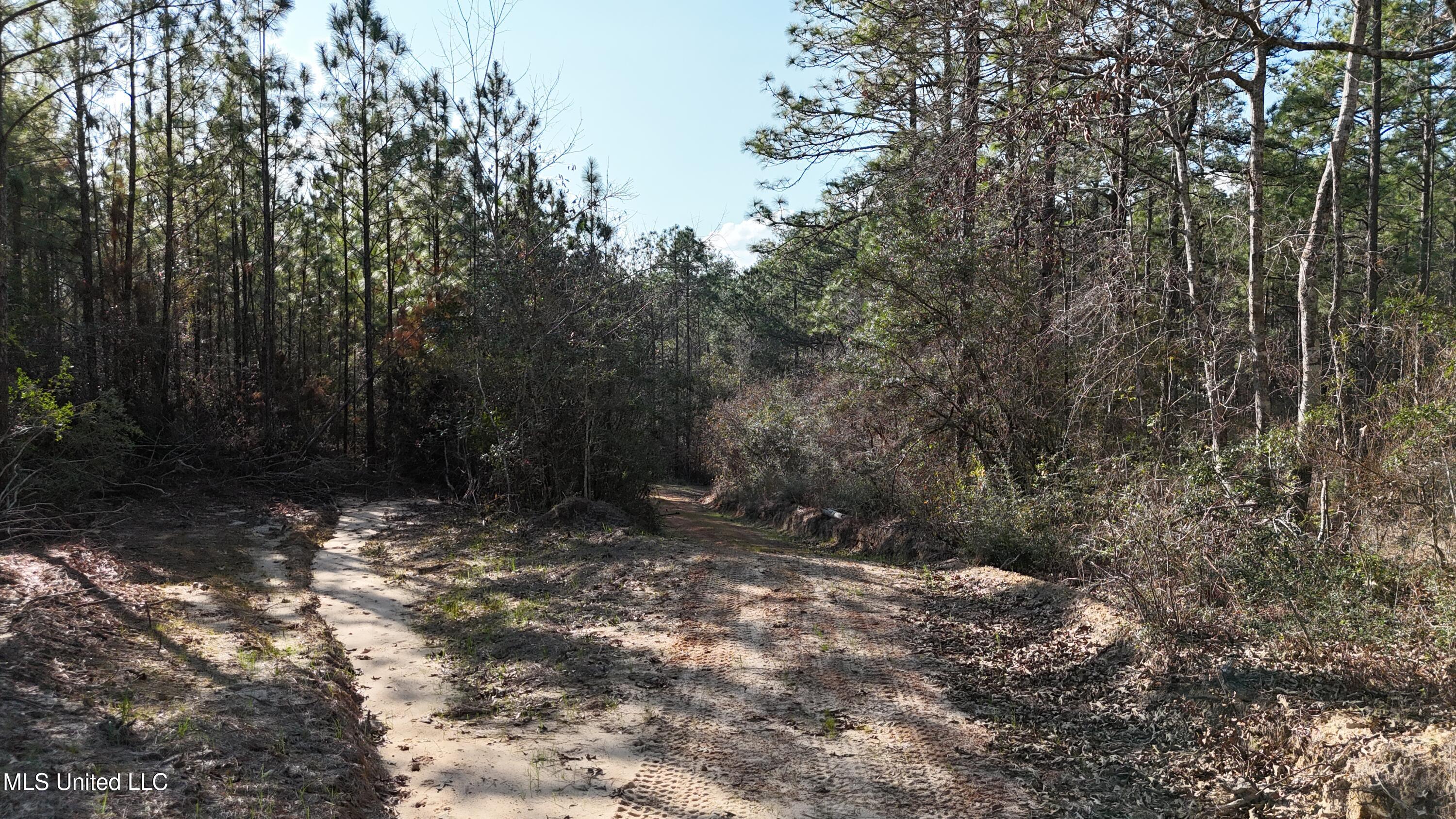588 Old Hwy 26, Perkinston, Mississippi image 25