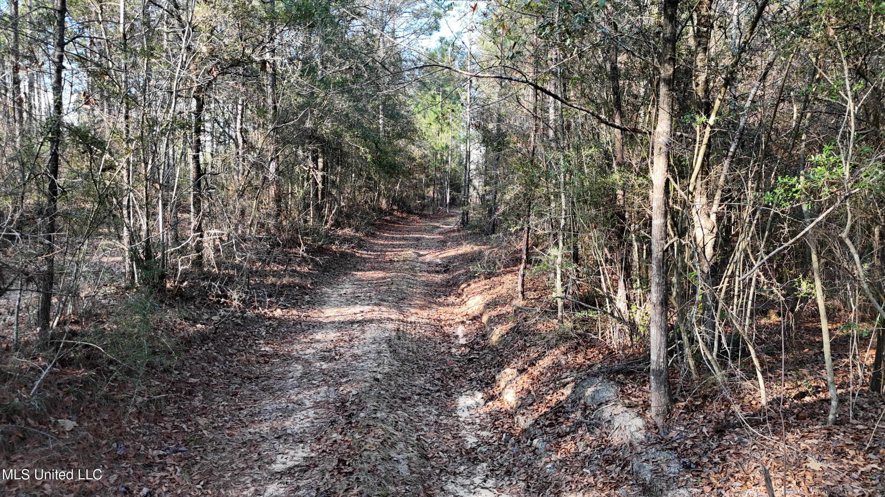 588 Old Hwy 26, Perkinston, Mississippi image 17