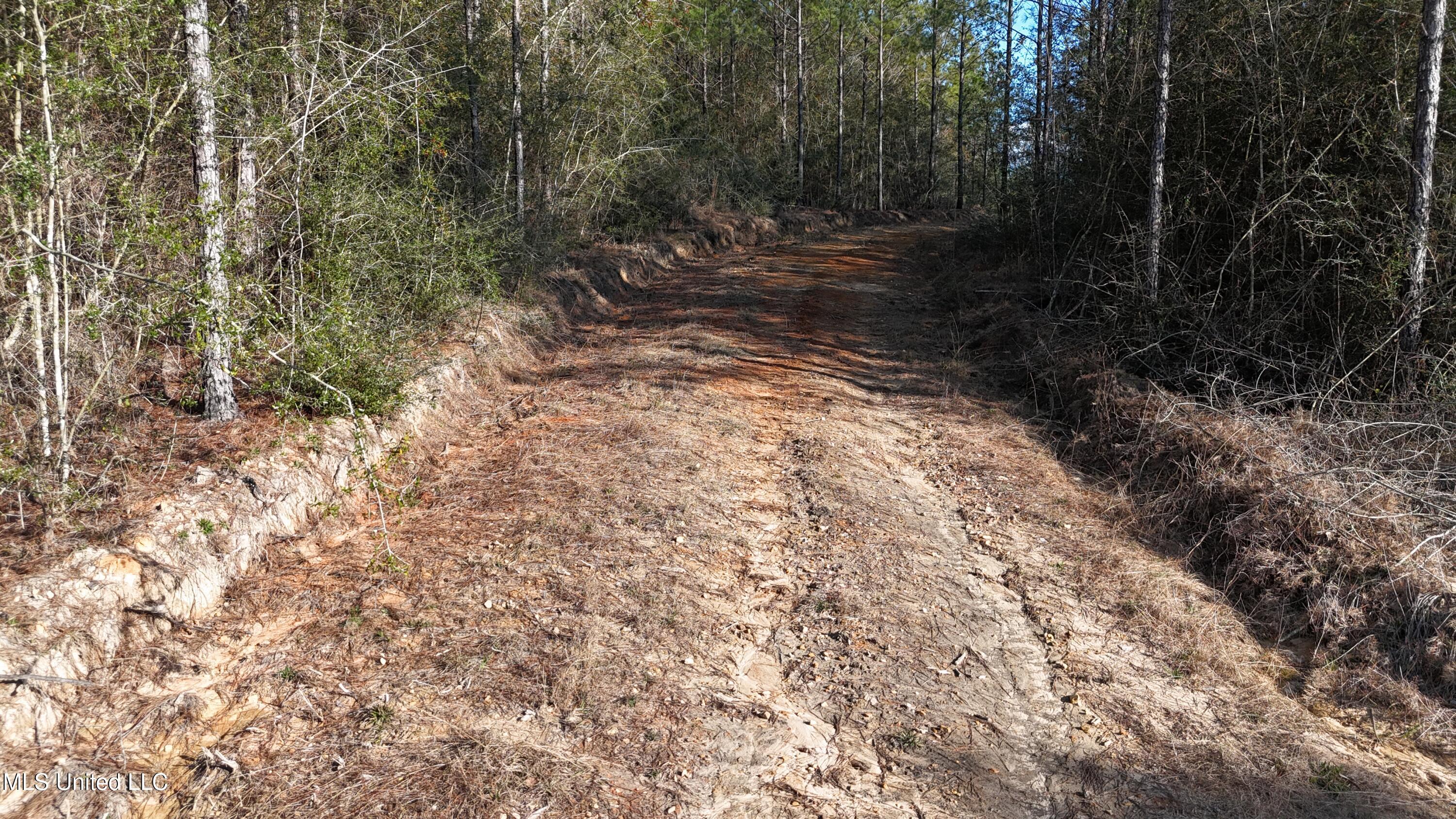 588 Old Hwy 26, Perkinston, Mississippi image 21