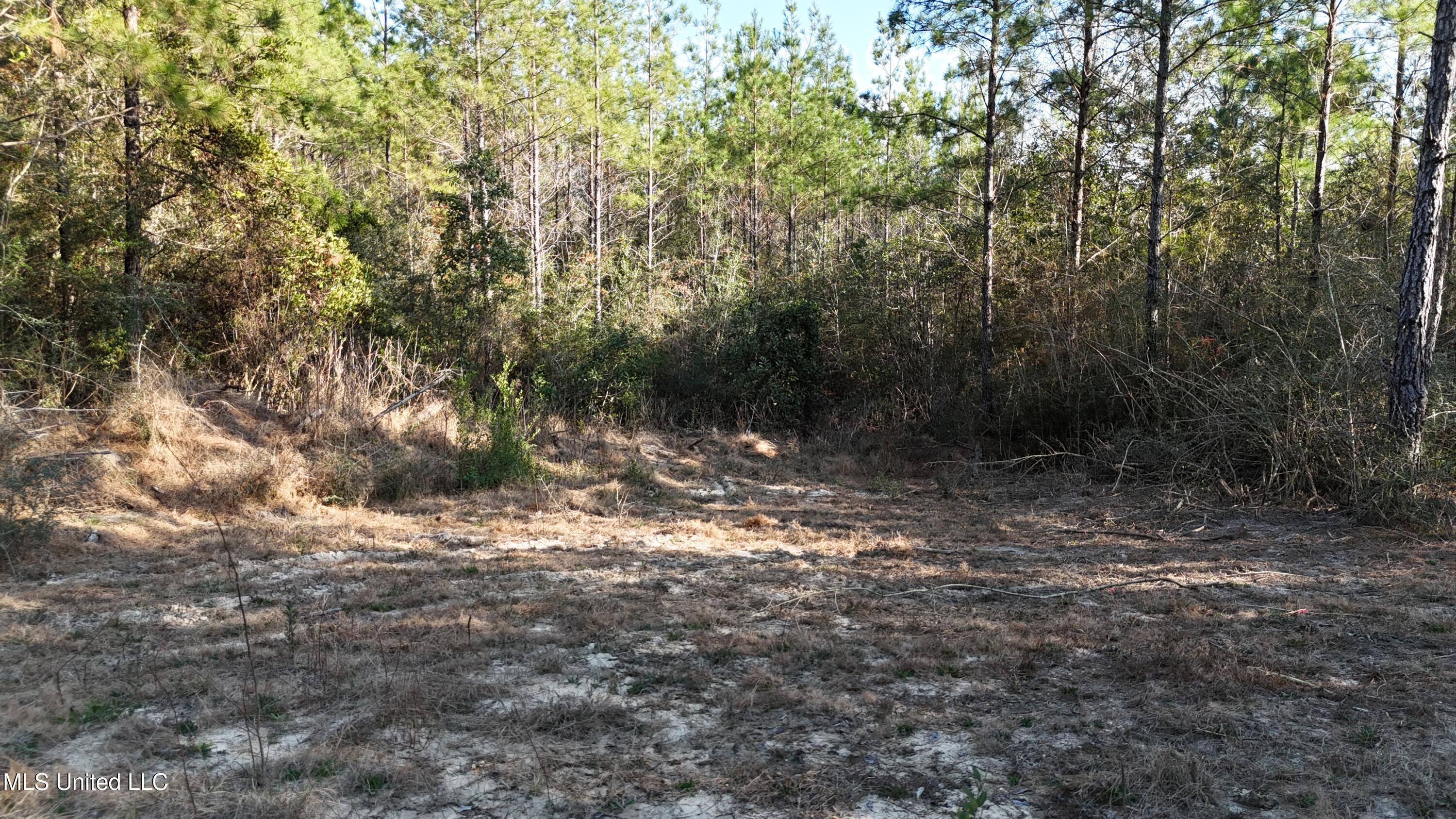 588 Old Hwy 26, Perkinston, Mississippi image 5