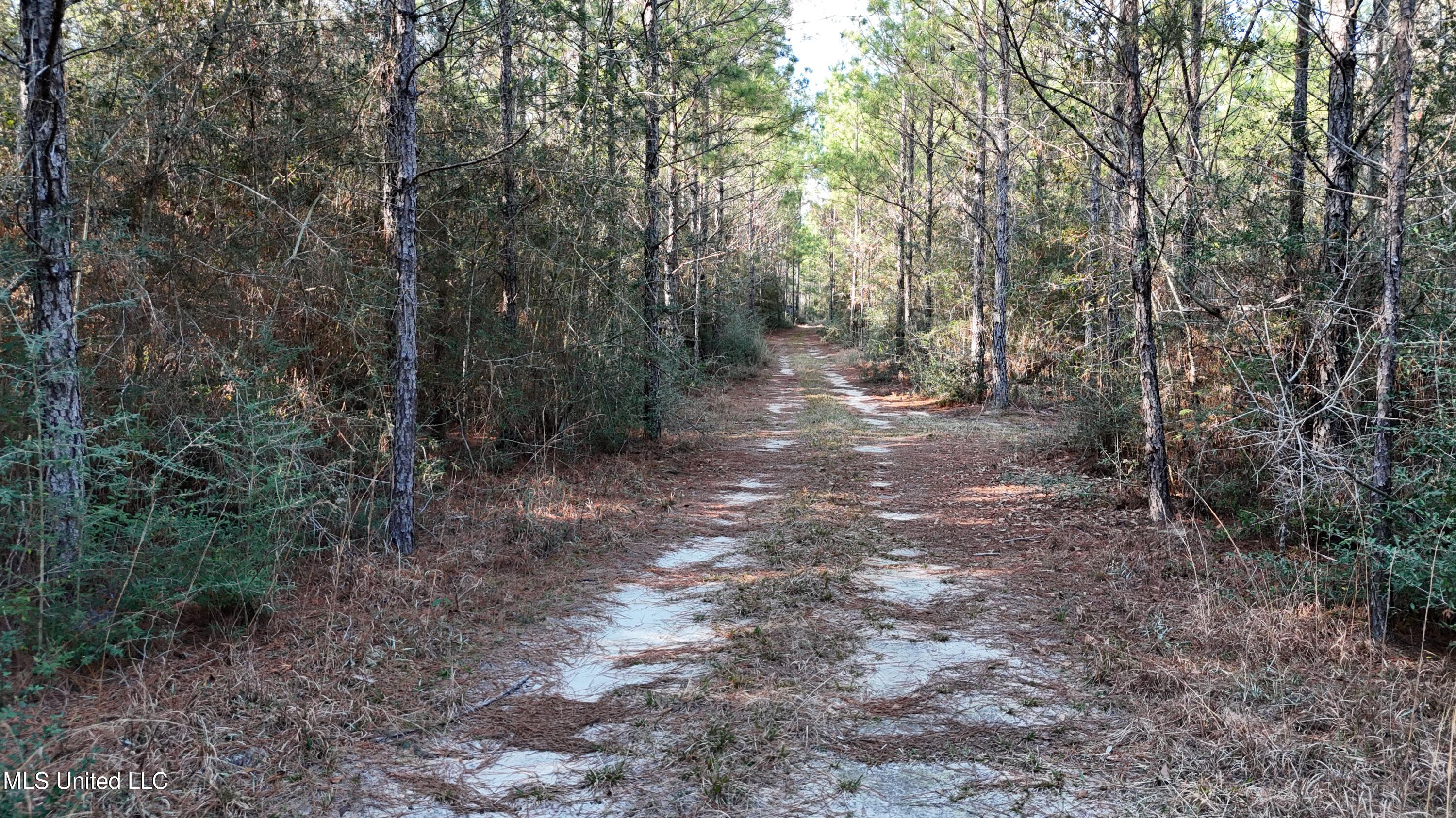 588 Old Hwy 26, Perkinston, Mississippi image 13