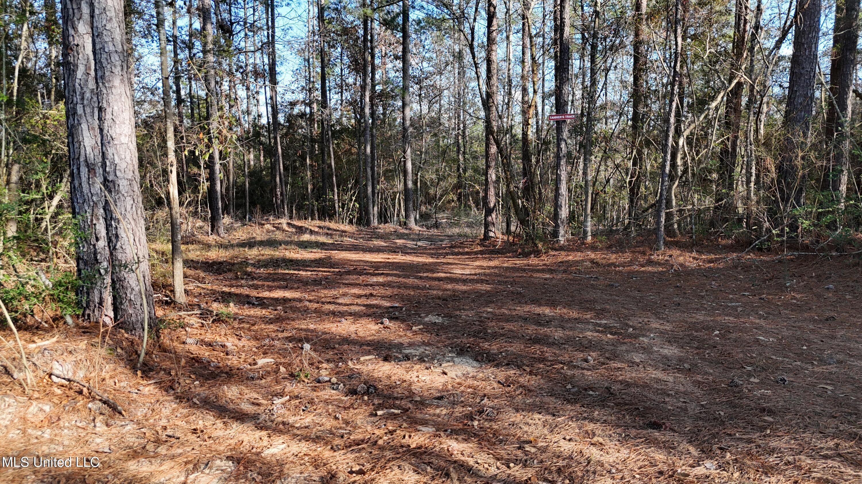 588 Old Hwy 26, Perkinston, Mississippi image 4