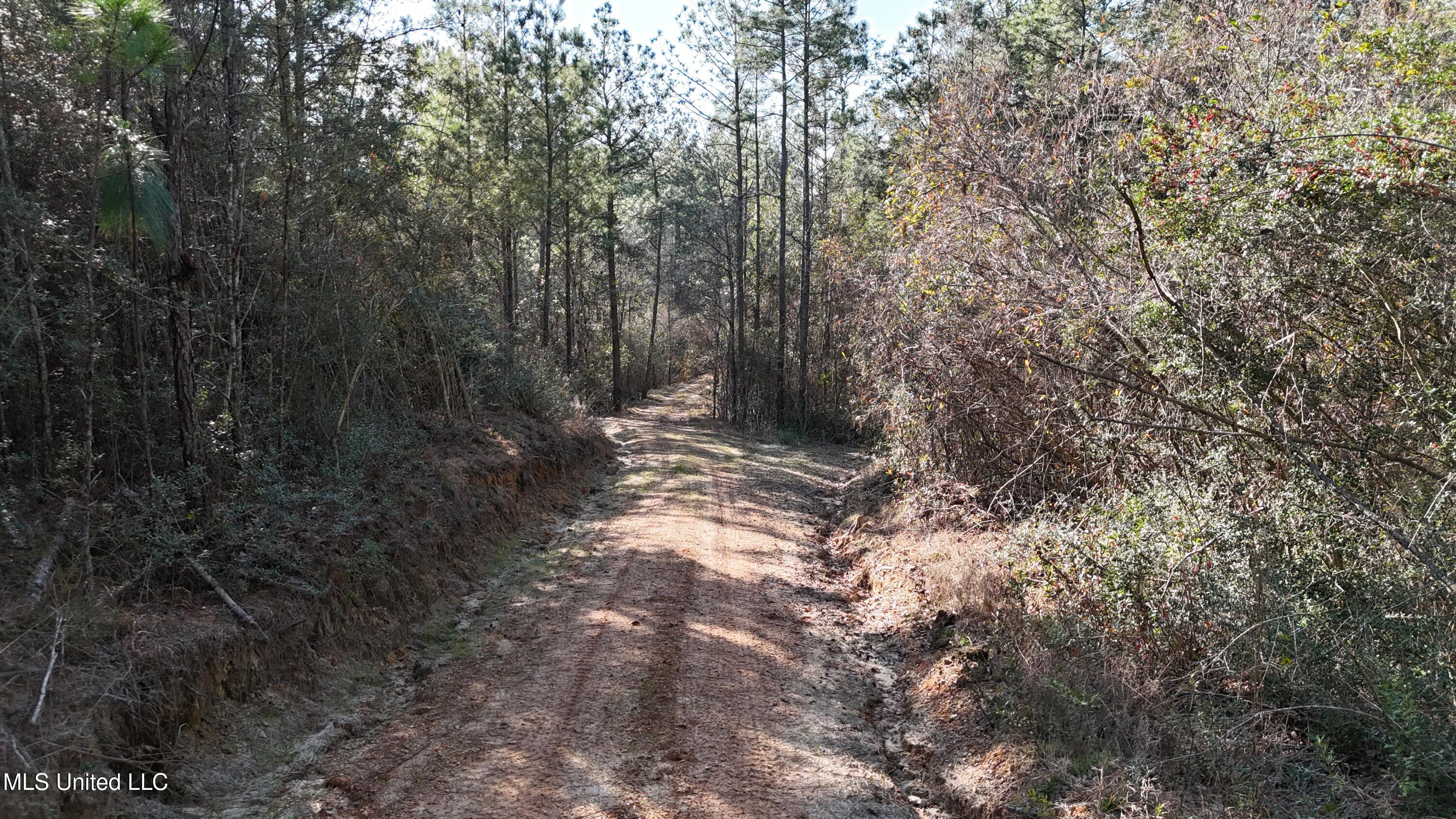 588 Old Hwy 26, Perkinston, Mississippi image 24