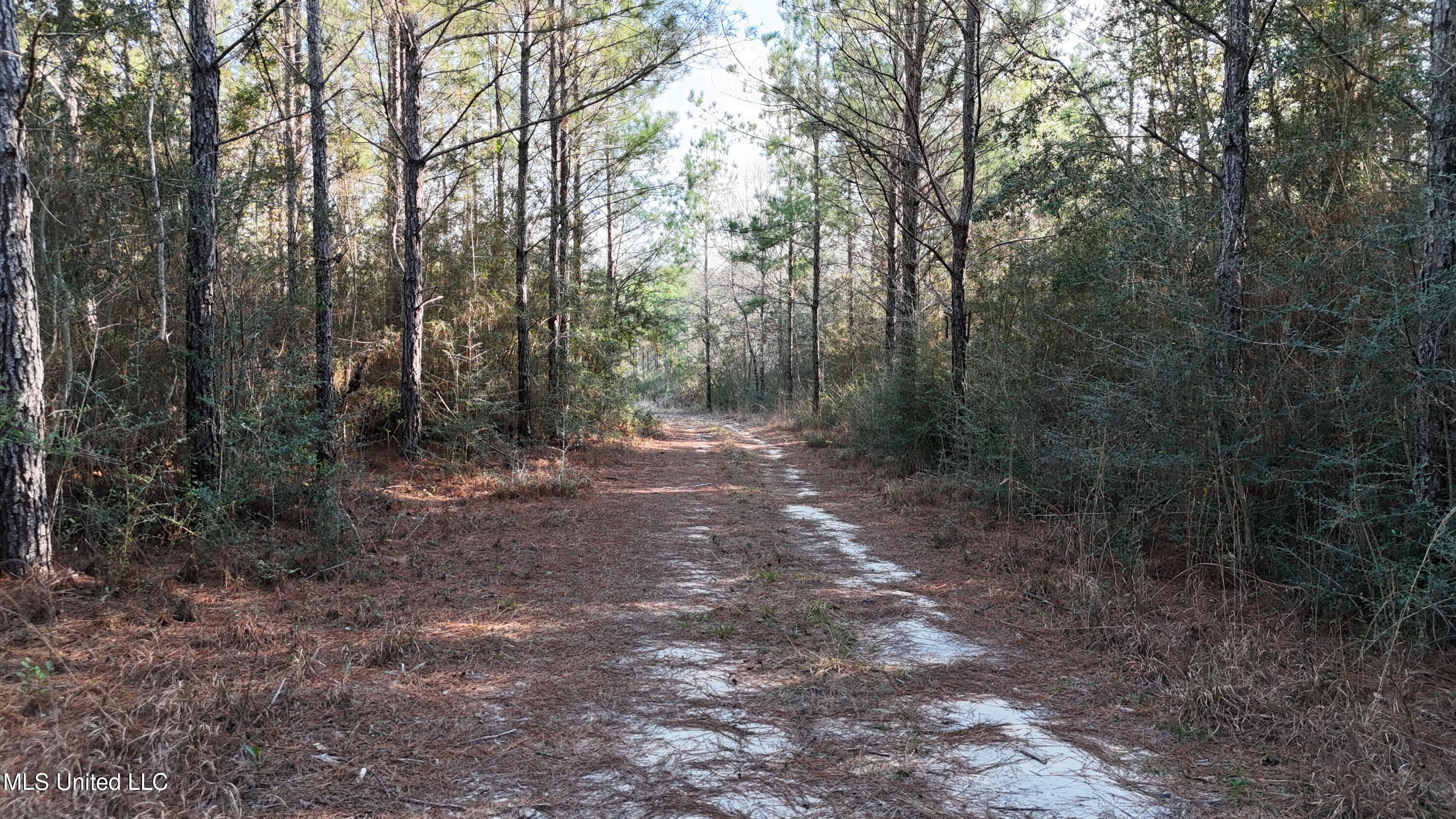 588 Old Hwy 26, Perkinston, Mississippi image 14