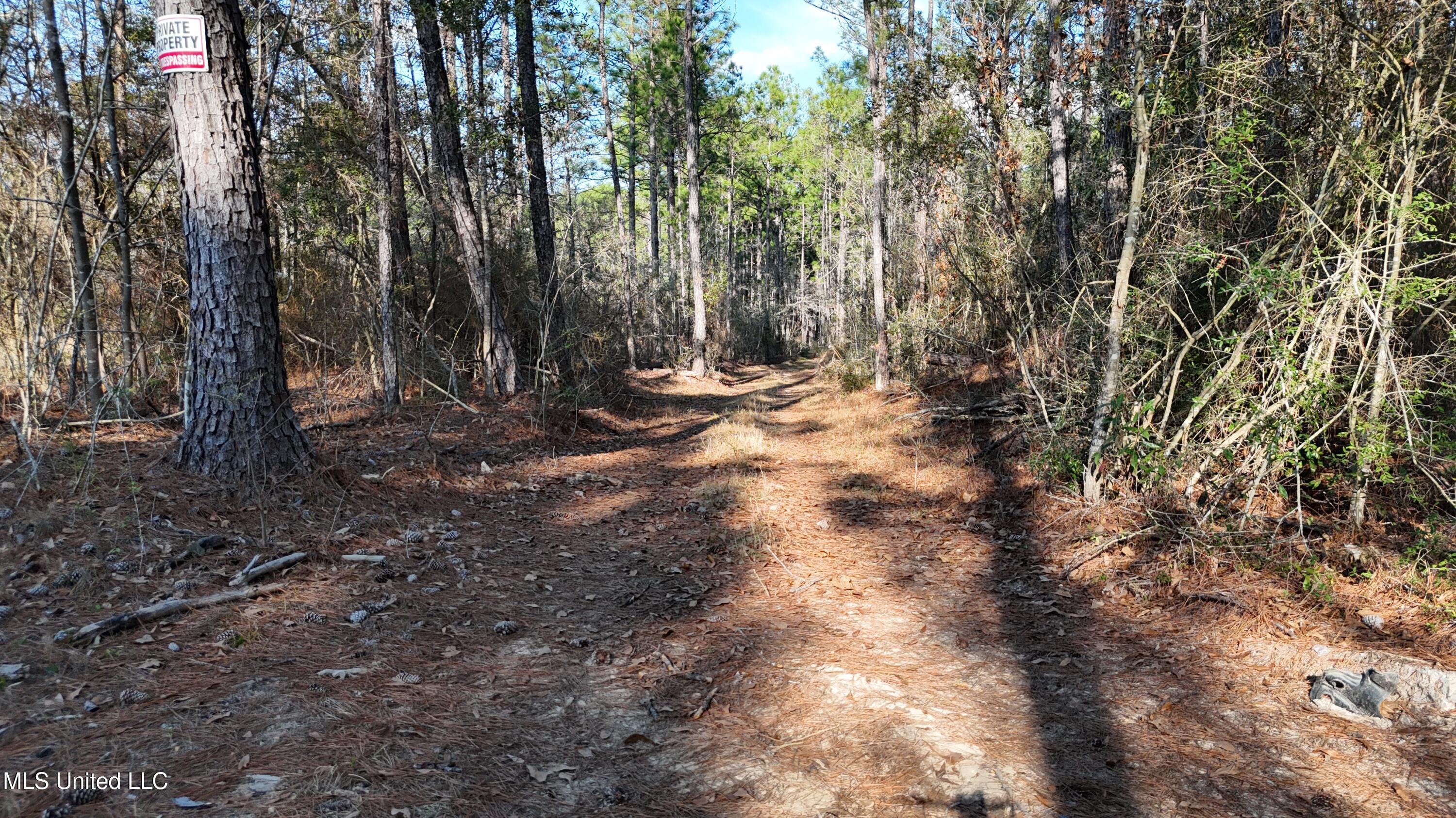 588 Old Hwy 26, Perkinston, Mississippi image 3