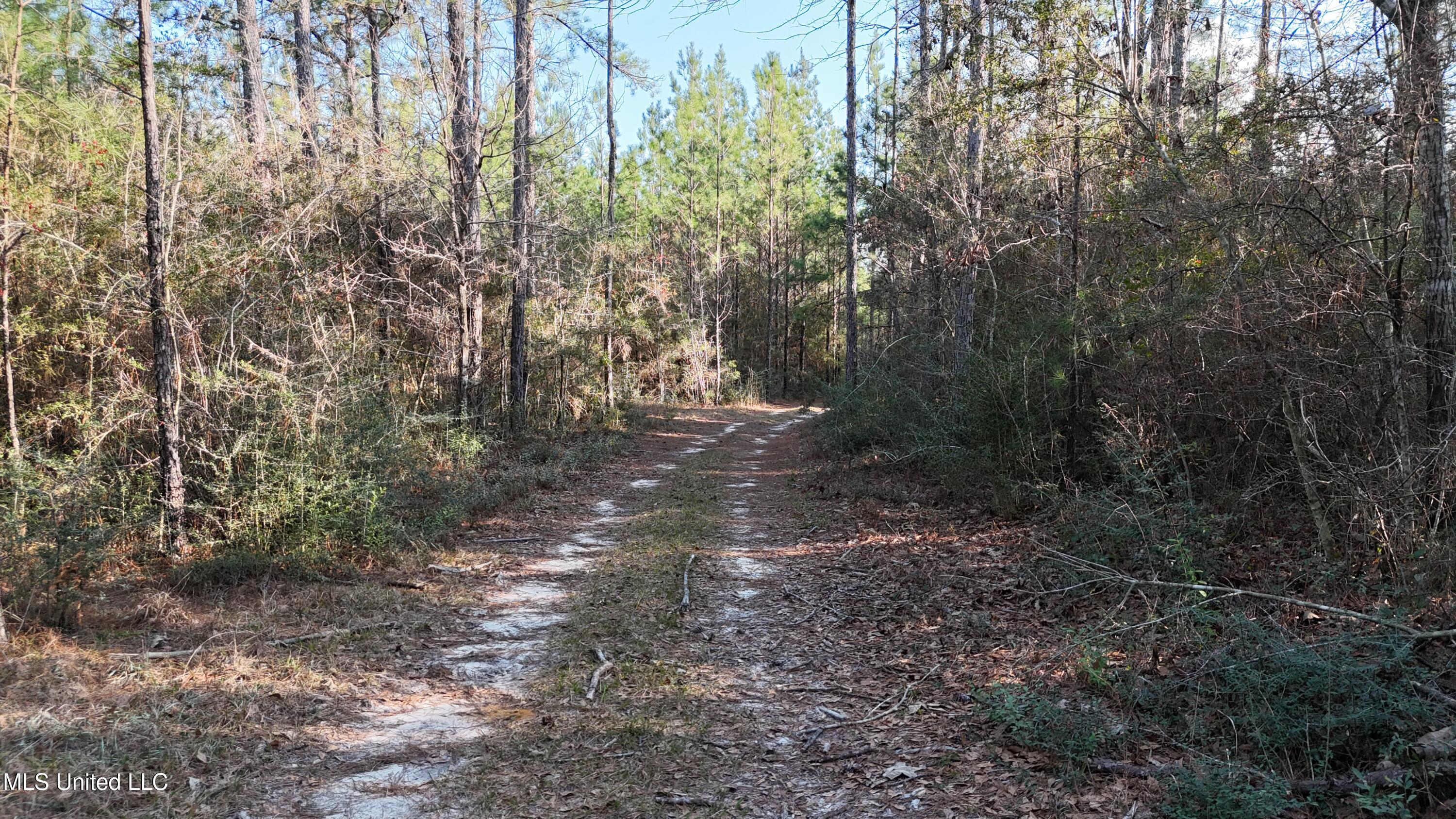 588 Old Hwy 26, Perkinston, Mississippi image 15