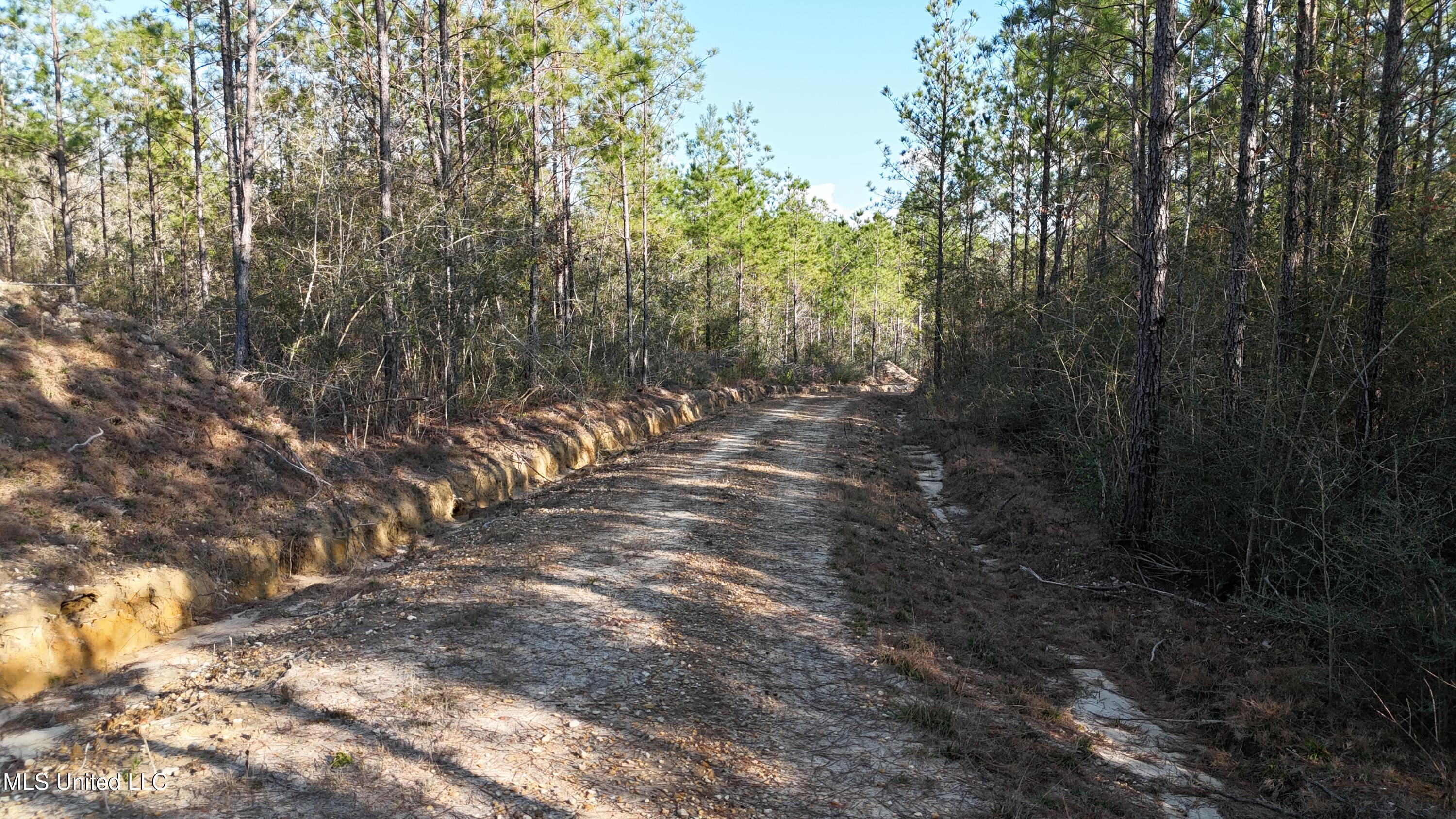588 Old Hwy 26, Perkinston, Mississippi image 20