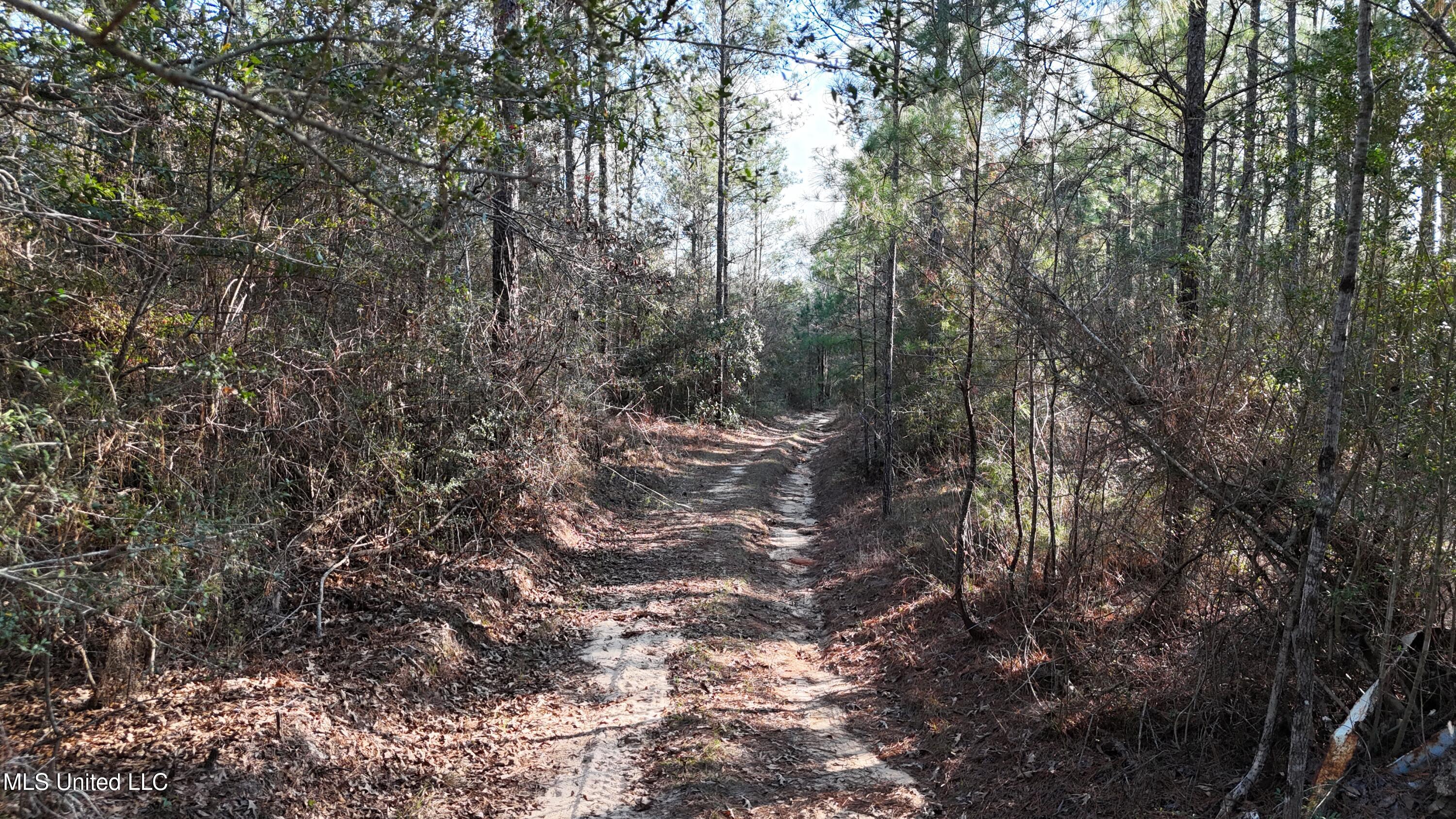 588 Old Hwy 26, Perkinston, Mississippi image 18