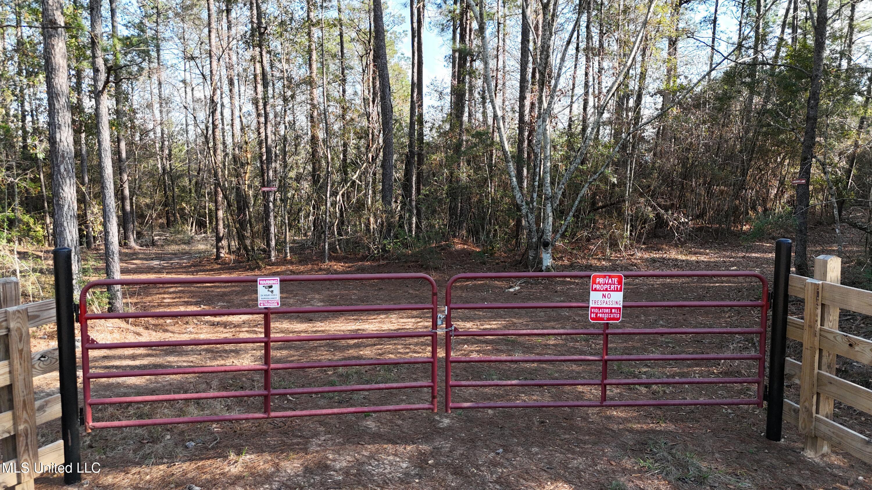 588 Old Hwy 26, Perkinston, Mississippi image 1