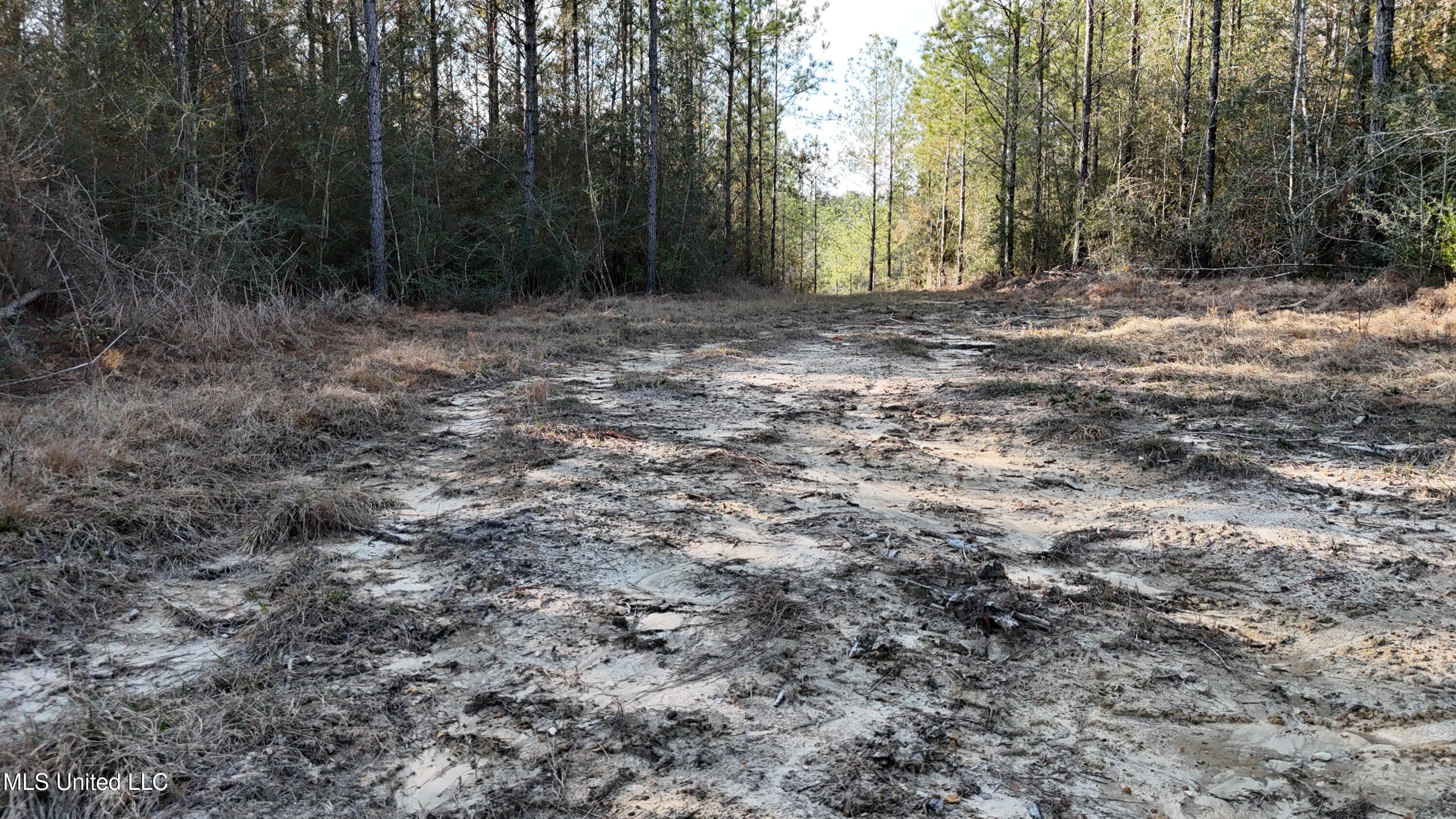 588 Old Hwy 26, Perkinston, Mississippi image 22