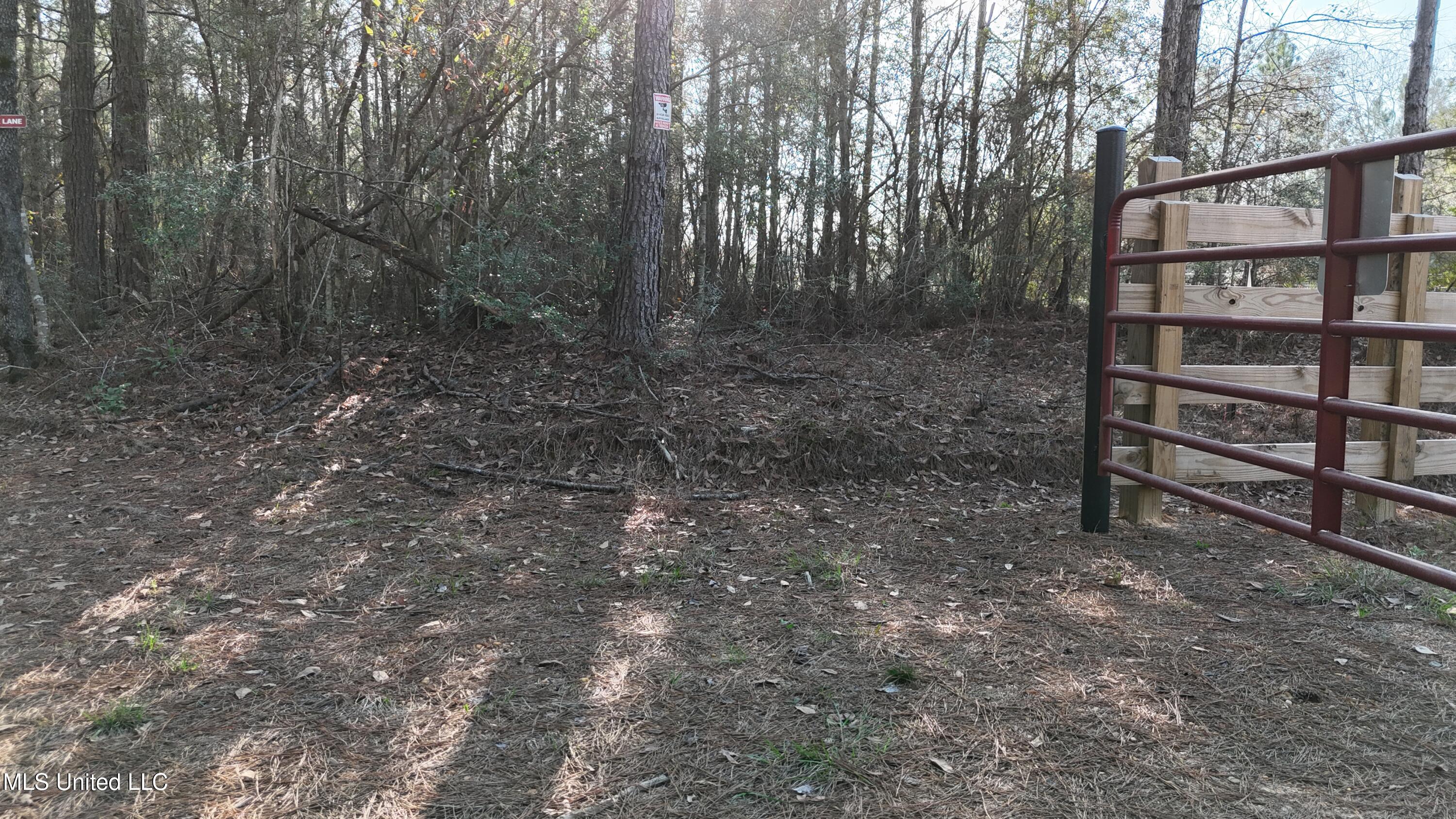 588 Old Hwy 26, Perkinston, Mississippi image 2