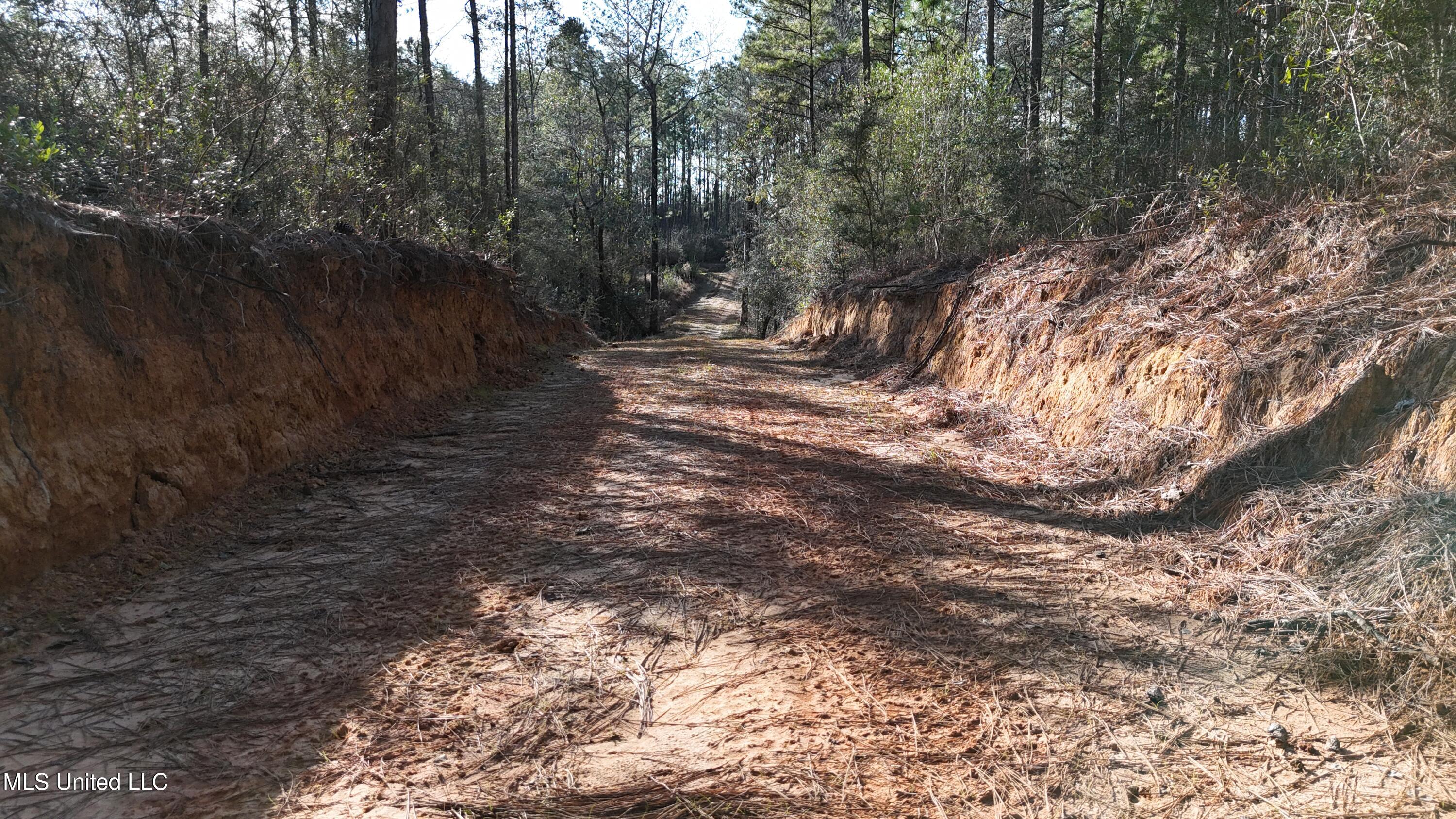 588 Old Hwy 26, Perkinston, Mississippi image 23