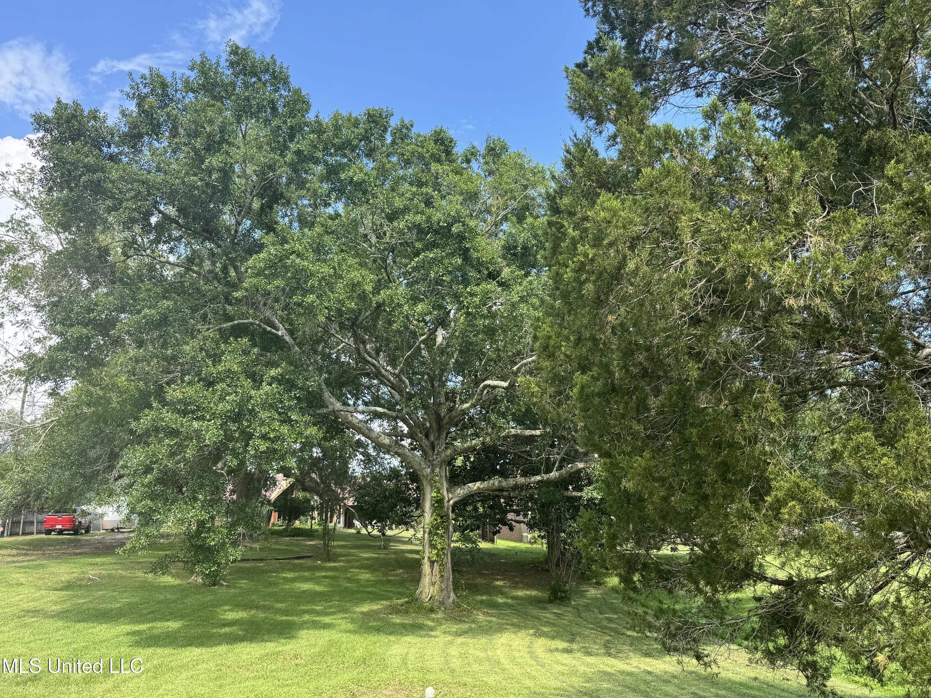 5114 Bay Street, Pascagoula, Mississippi image 7