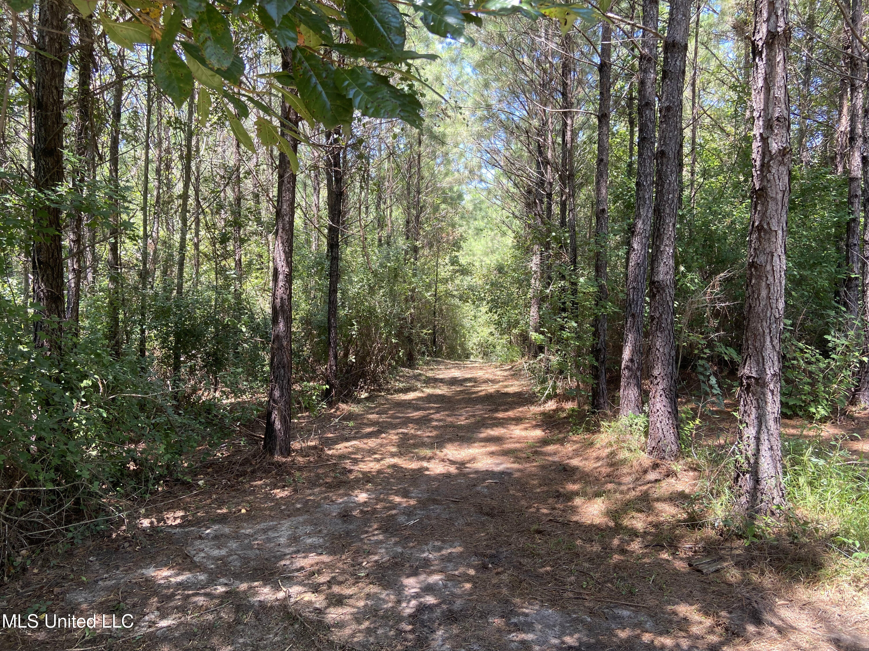 14667 Cable Bridge Road, Gulfport, Mississippi image 29