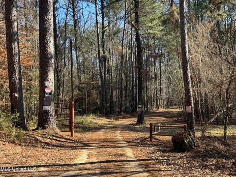 Vacant Land For Sale - 114 Huff Lane<br/> Franklin County, Roxie, MS 39661