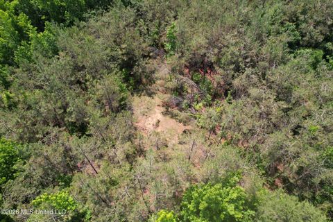 Vacant Land For Sale - West Boulevard<br/> Carroll County, West, MS 39192