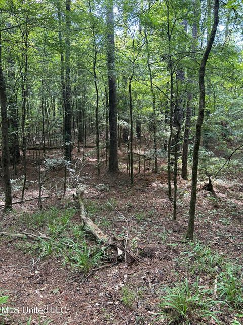 Vacant Land For Sale - West Boulevard<br/> West, MS 39192