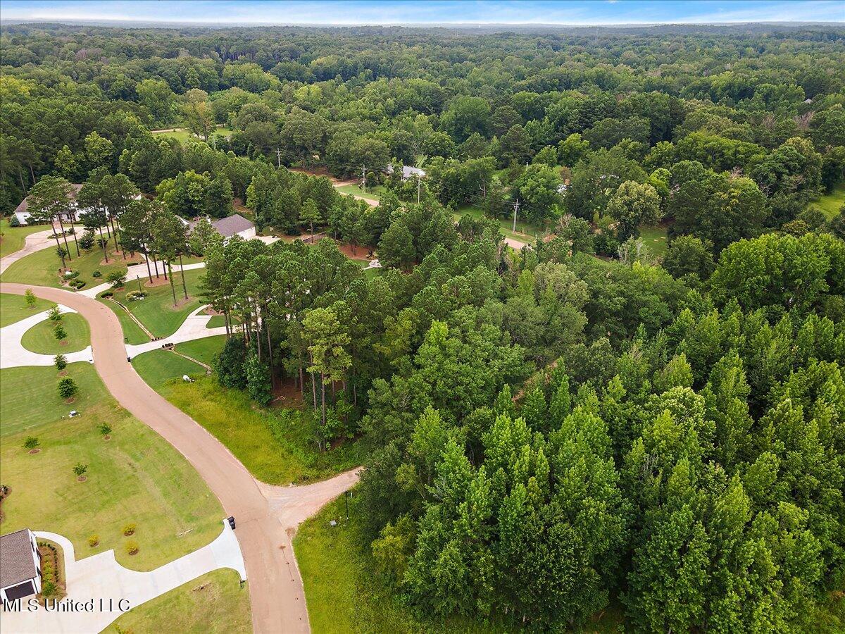 112 Hidden Glades - Photo 4
