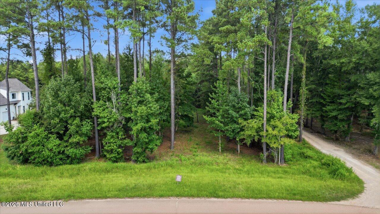 112 Hidden Glades - Photo 2