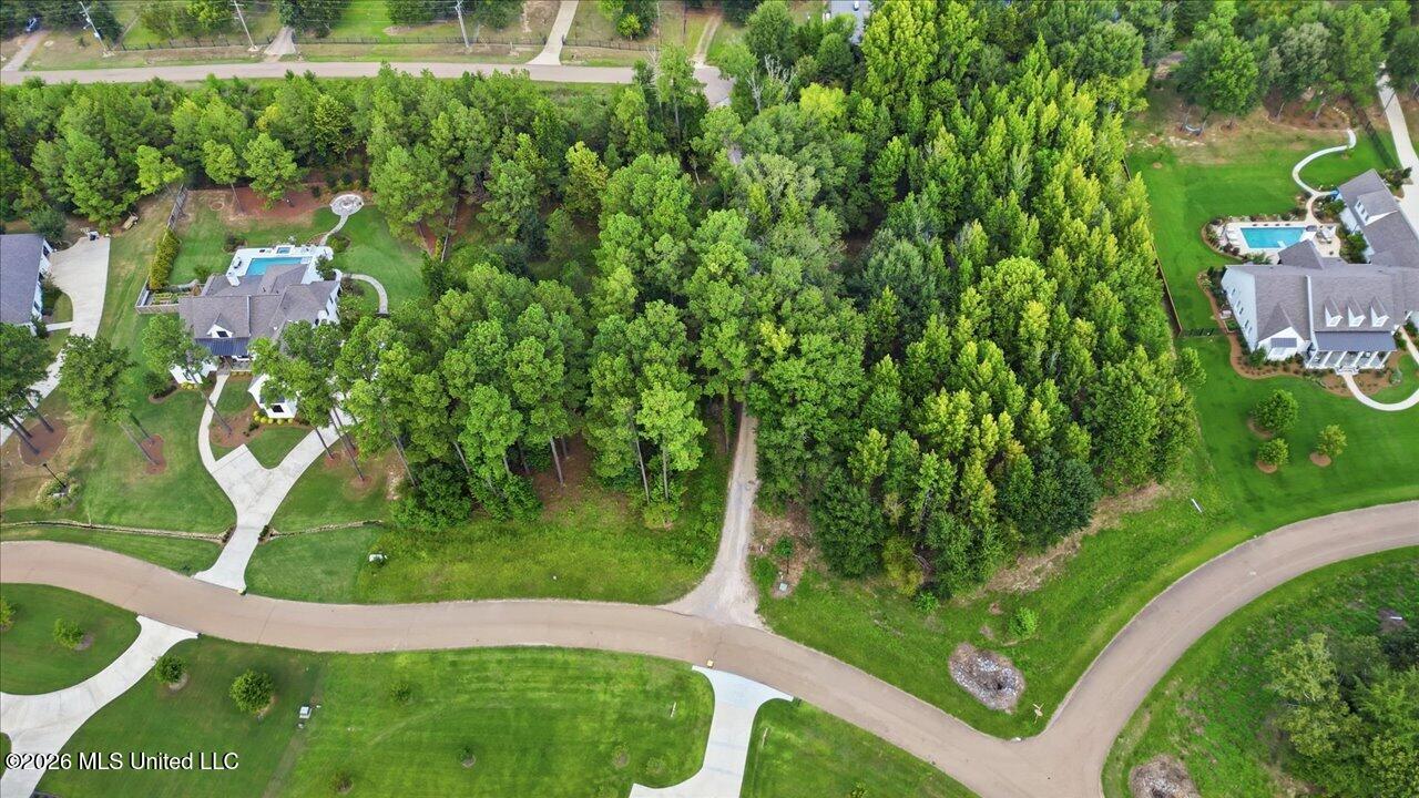 112 Hidden Glades - Photo 3