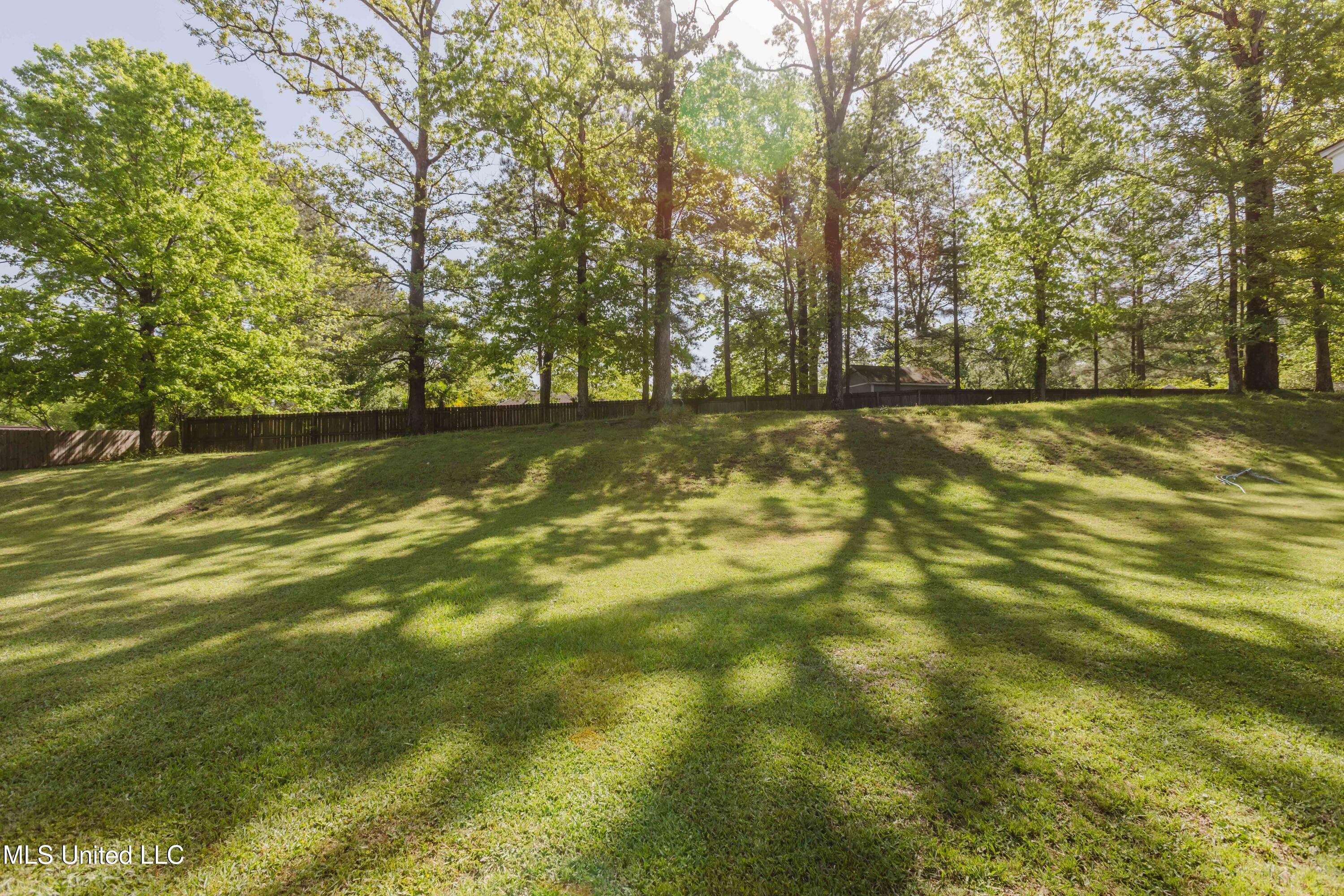 417 Devonport Circle, Raymond, Mississippi image 22