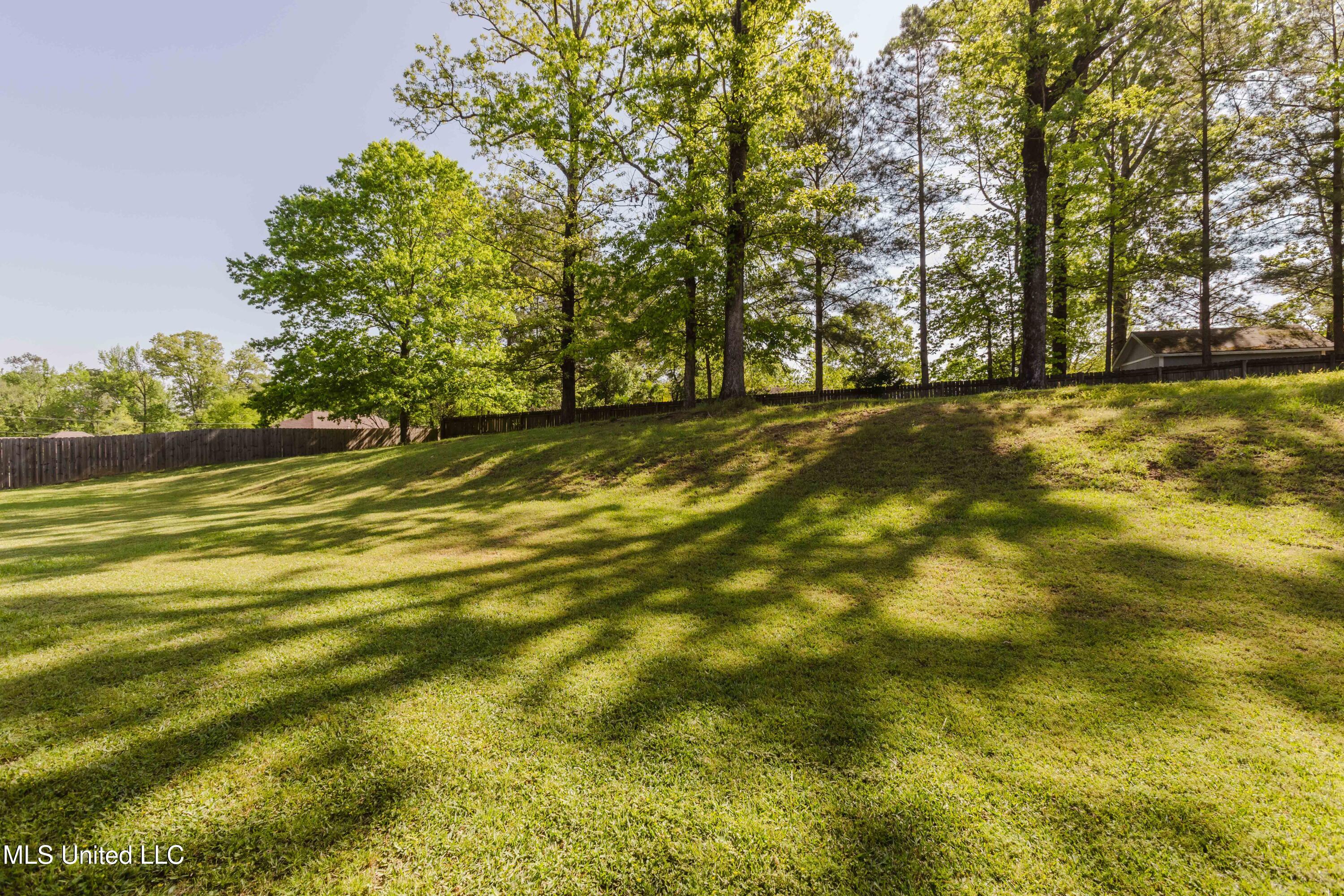 417 Devonport Circle, Raymond, Mississippi image 23