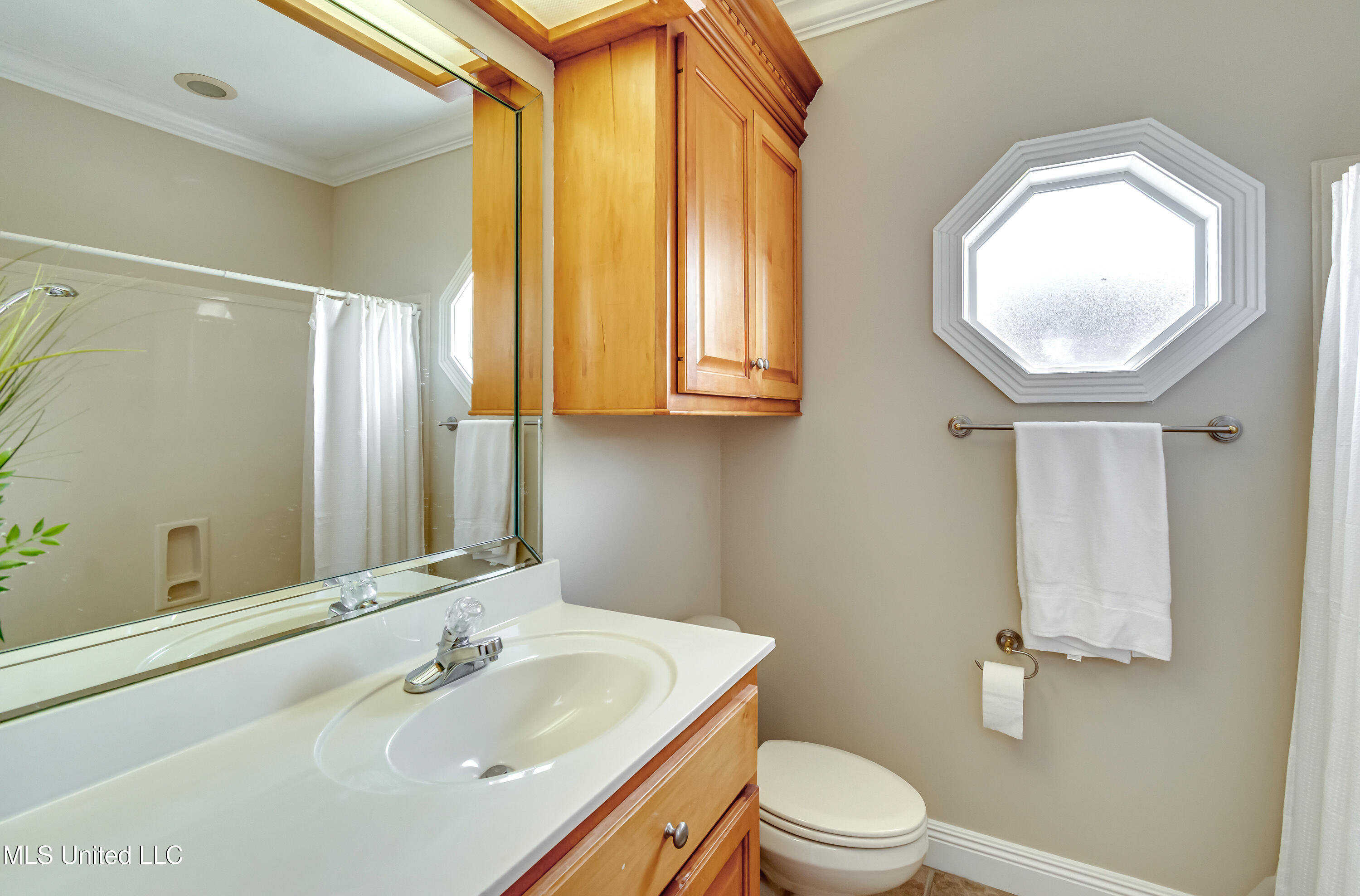 323 Eastridge Drive, Brandon, Mississippi image 28
