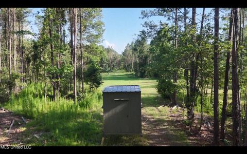 Vacant Land For Sale - Bonds Road<br/> Roxie, MS 39661