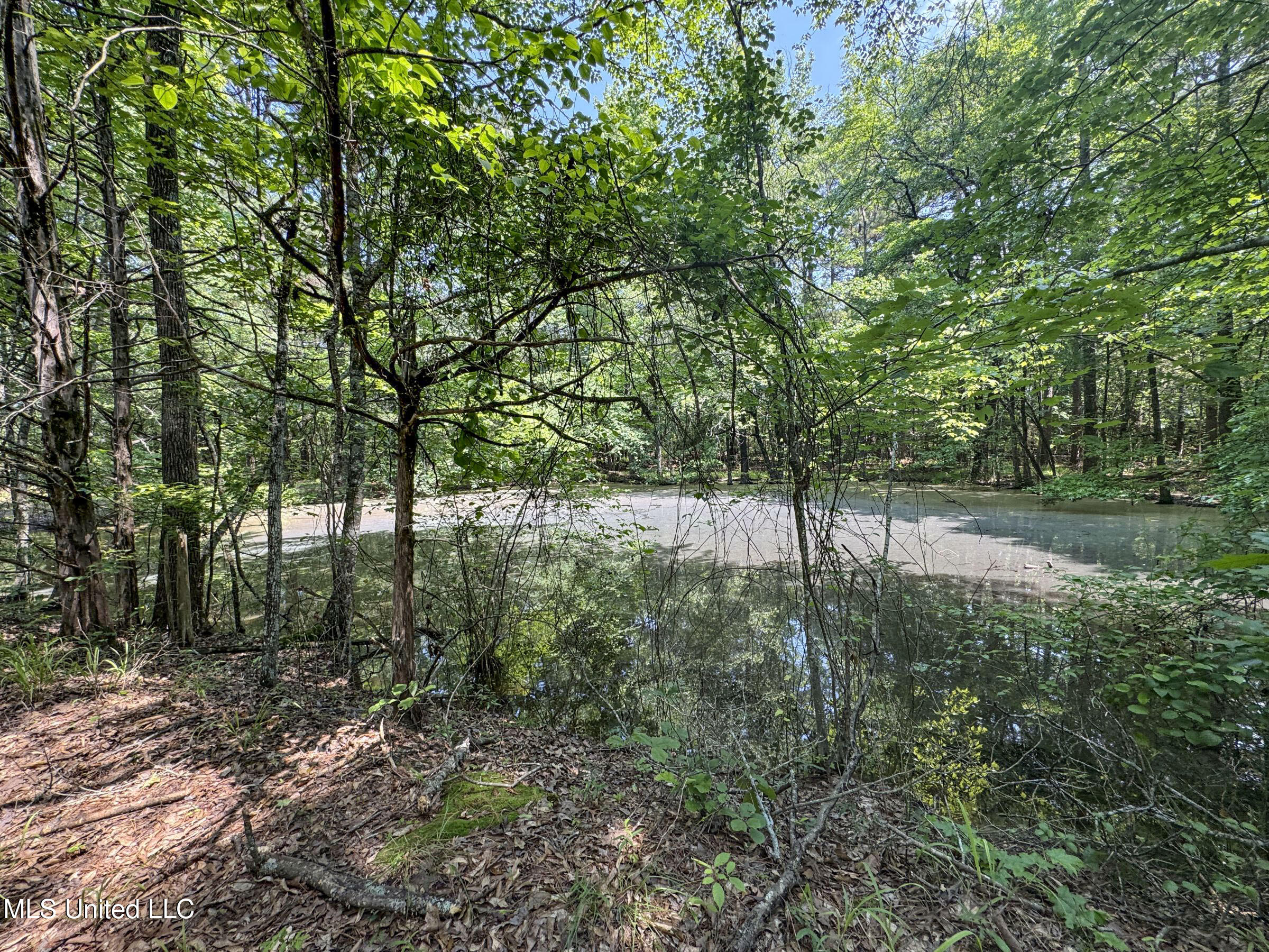 11 1057 Country Road, Oxford, Mississippi image 31