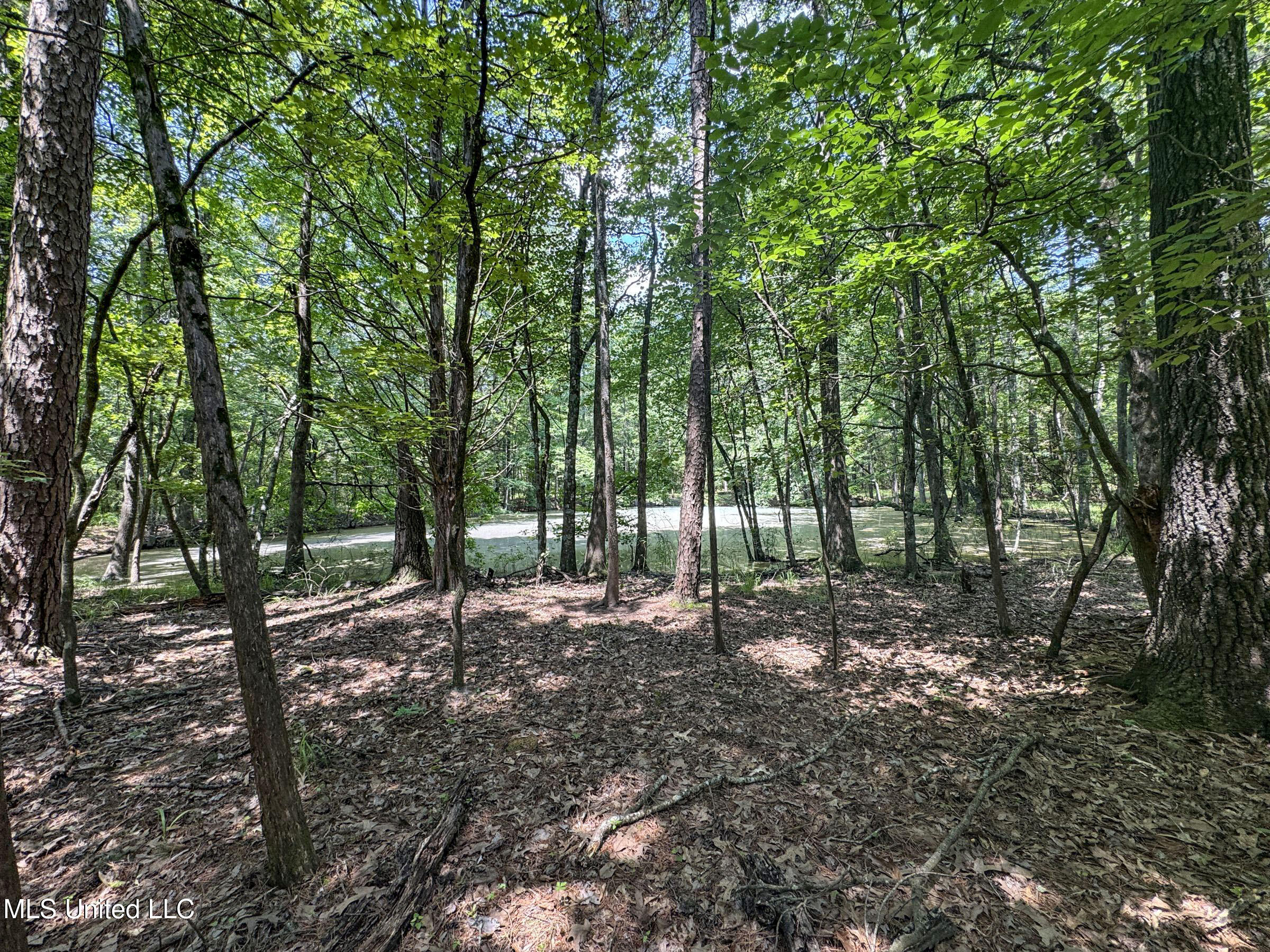 11 1057 Country Road, Oxford, Mississippi image 35