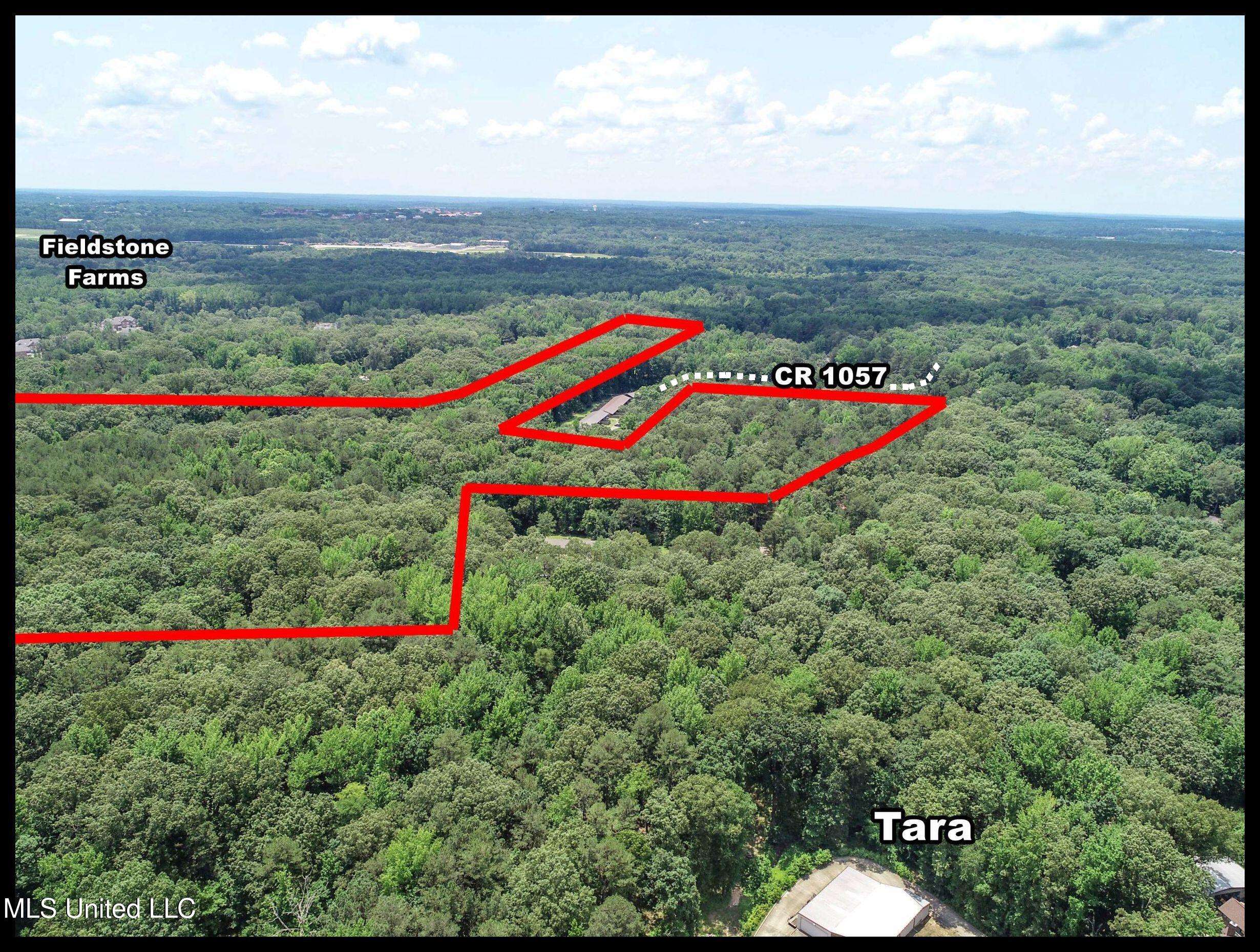 11 1057 Country Road, Oxford, Mississippi image 1