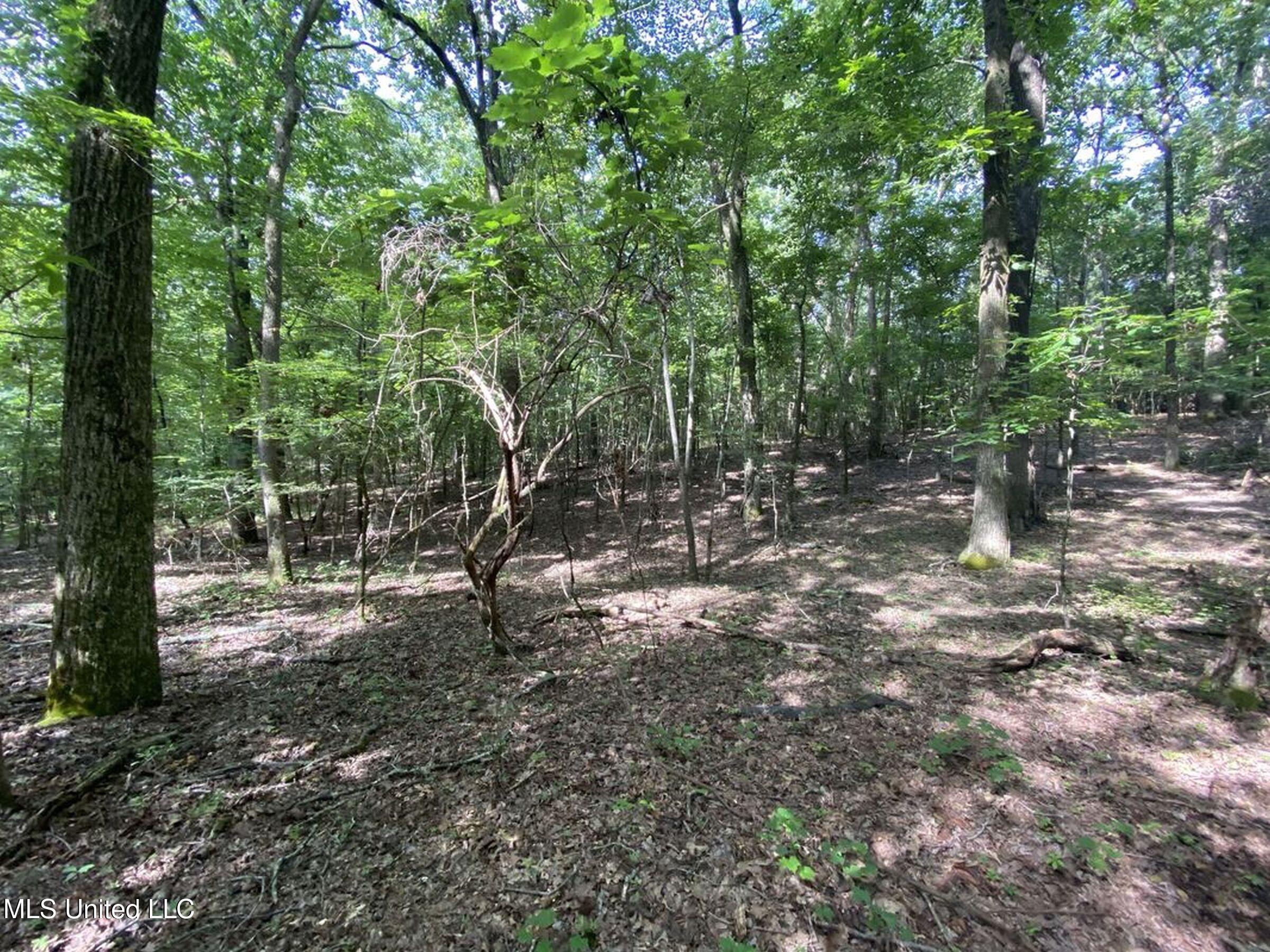 11 1057 Country Road, Oxford, Mississippi image 45
