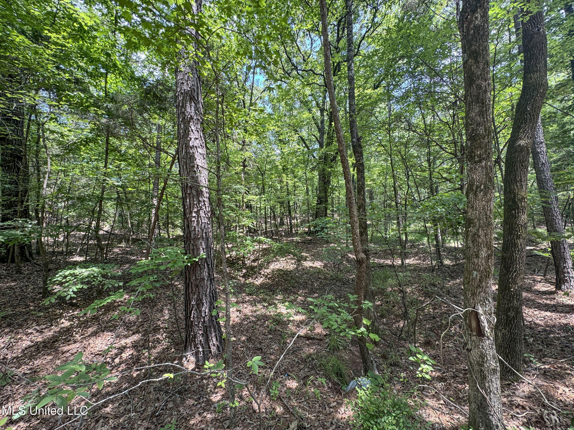 11 1057 Country Road, Oxford, Mississippi image 40
