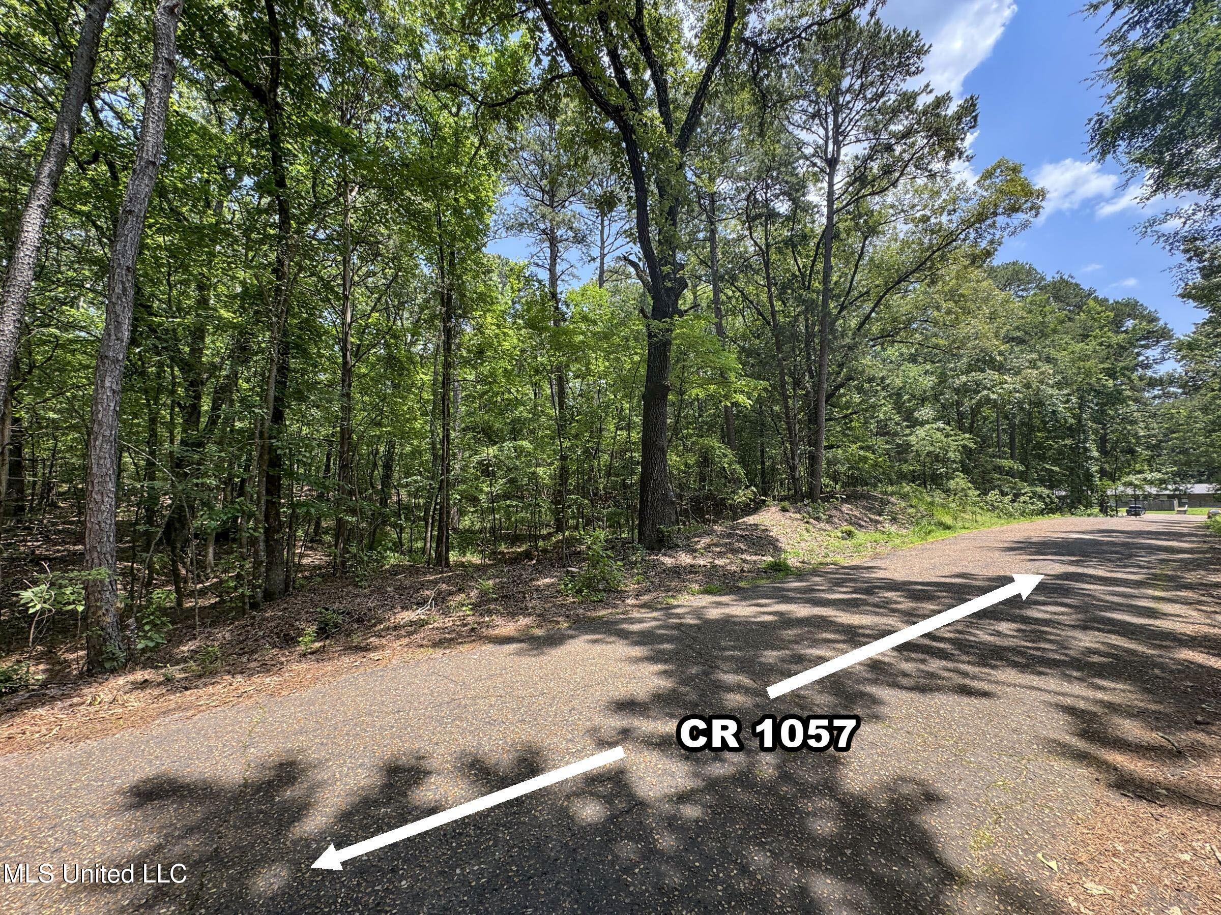 11 1057 Country Road, Oxford, Mississippi image 25