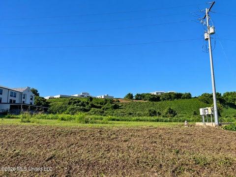 Vacant Land For Sale - John R Junkin Drive<br/> Natchez, MS 39120