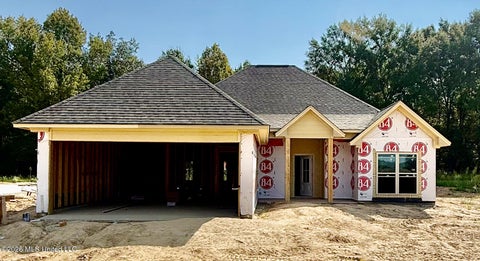 Homes For Sale - 124 Eastern Cedar Drive<br/> Madison County, Canton, MS 39046