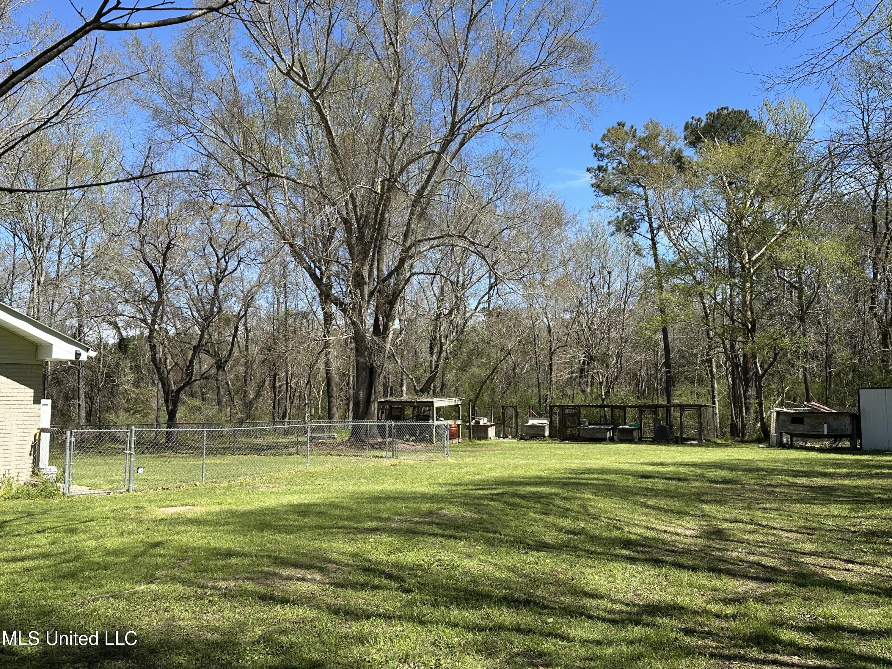 604 Spring Hill Road, Poplarville, Mississippi image 4