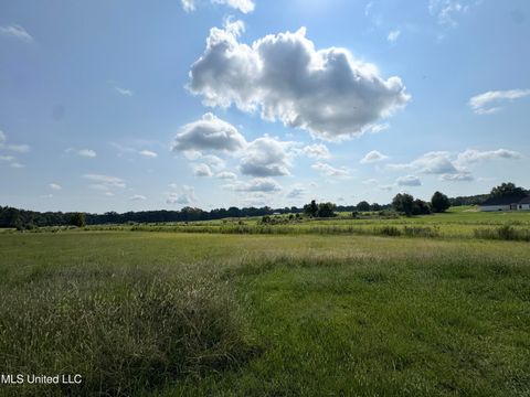 Vacant Land For Sale - R6 Old Hwy 16<br/> Benton, MS 39039