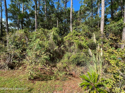 Vacant Land For Sale - Pinewood Drive<br/> Pass Christian, MS 39571