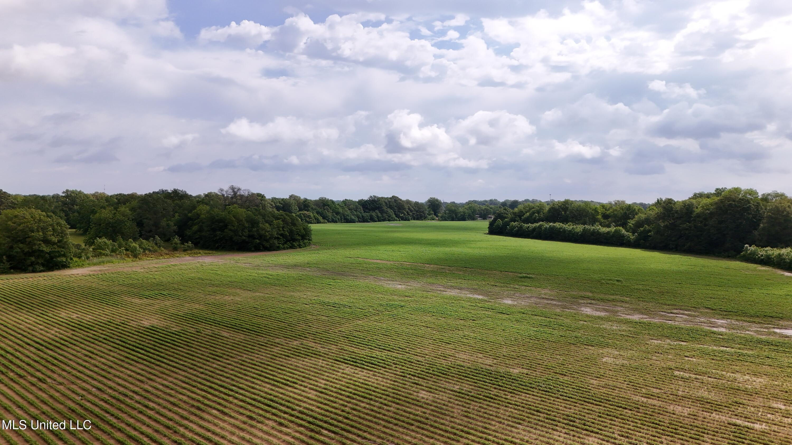 Pearman Road, Cleveland, Mississippi image 7