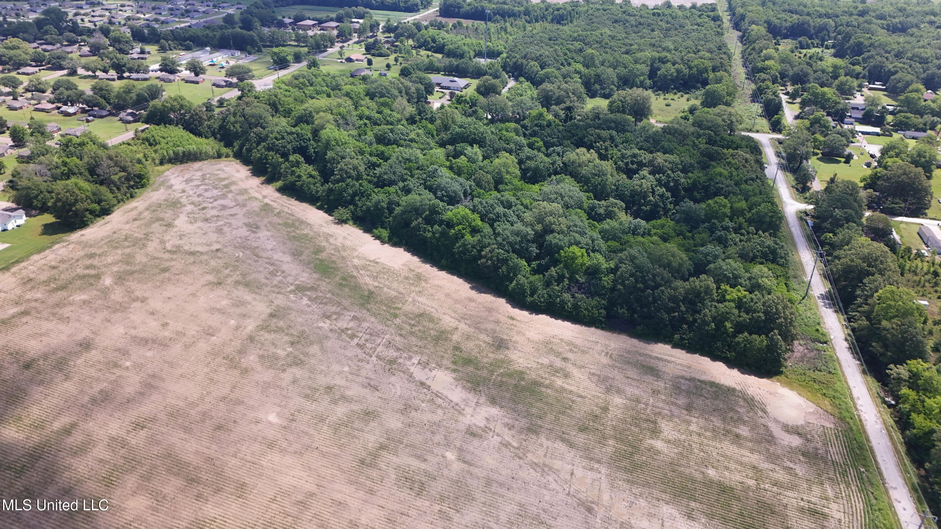 Pearman Road, Cleveland, Mississippi image 16