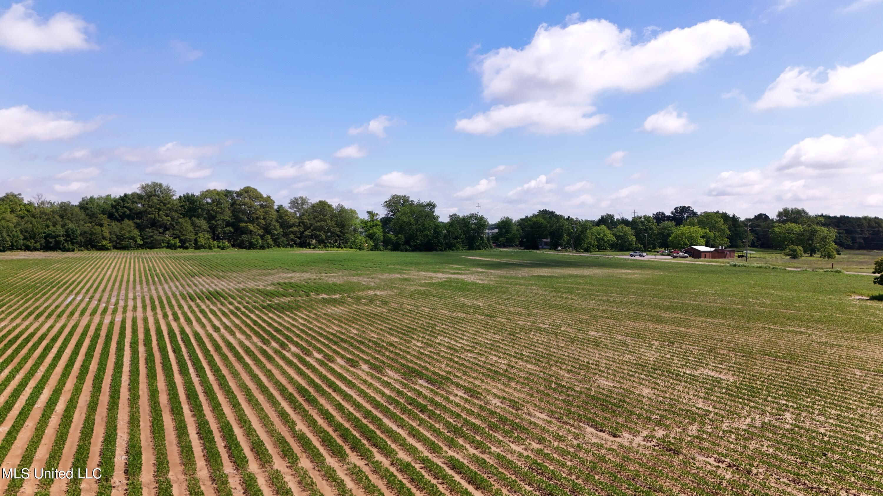 Pearman Road, Cleveland, Mississippi image 13